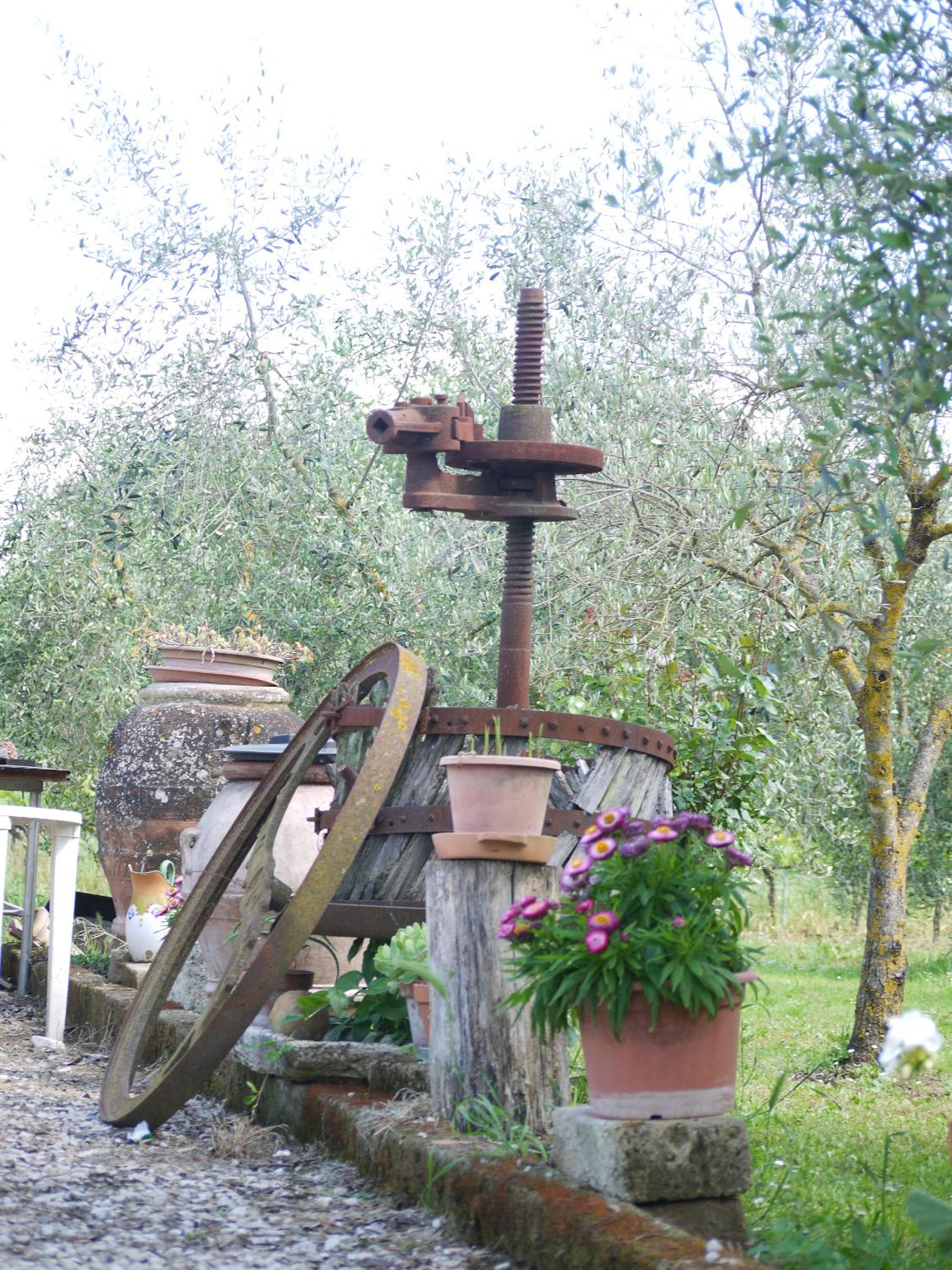 Photo 24