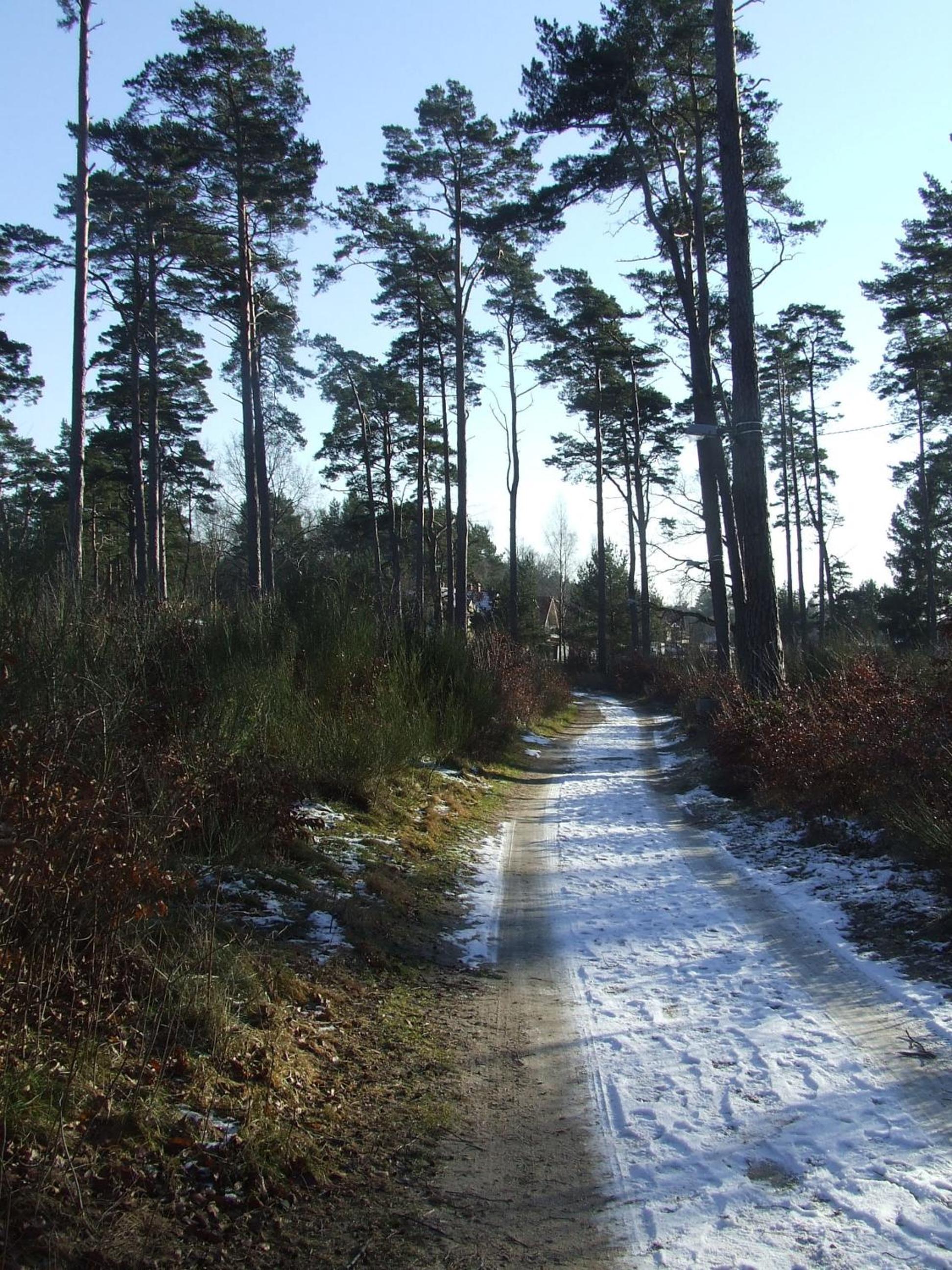 Photo 40