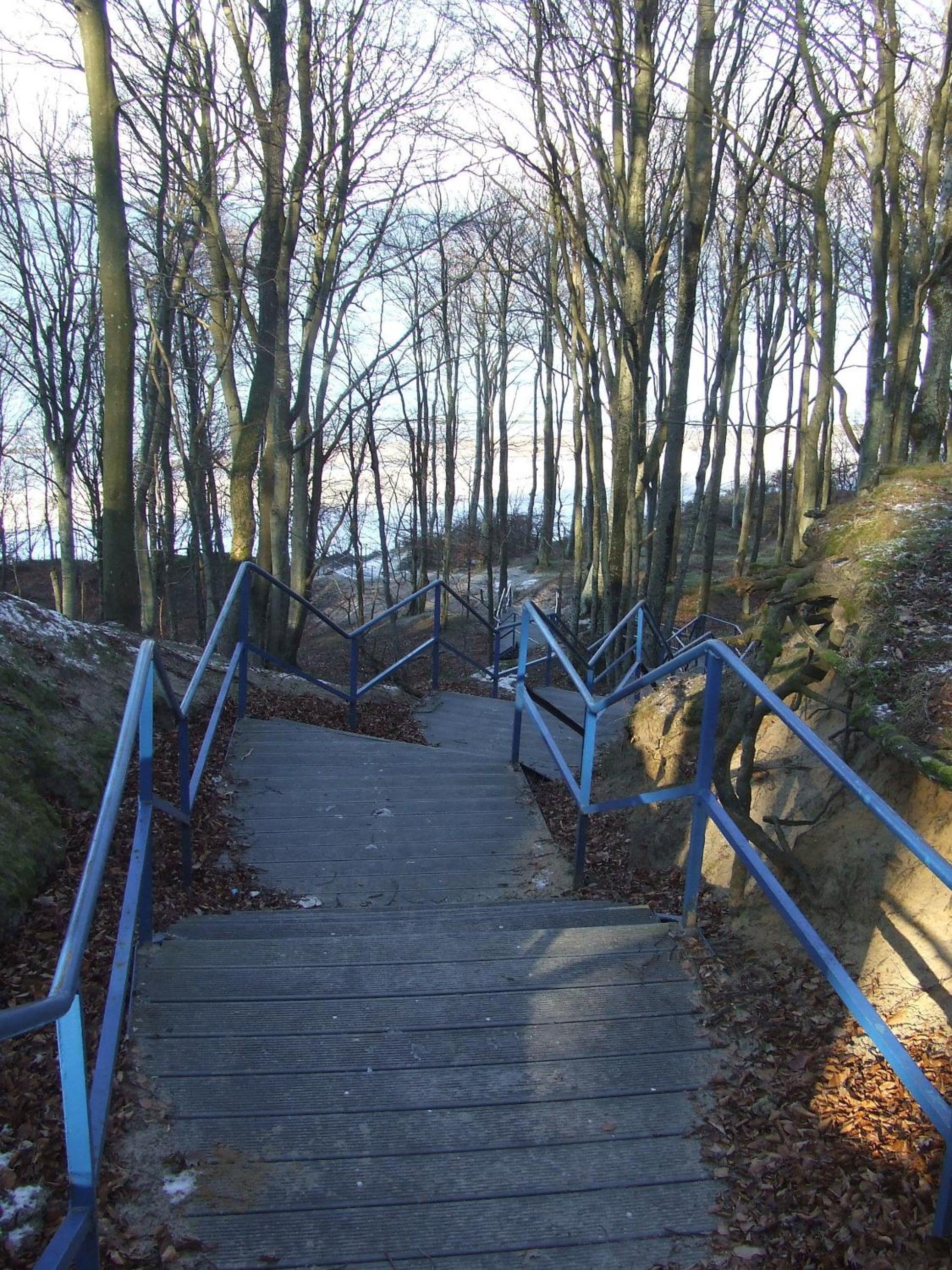 Photo 41