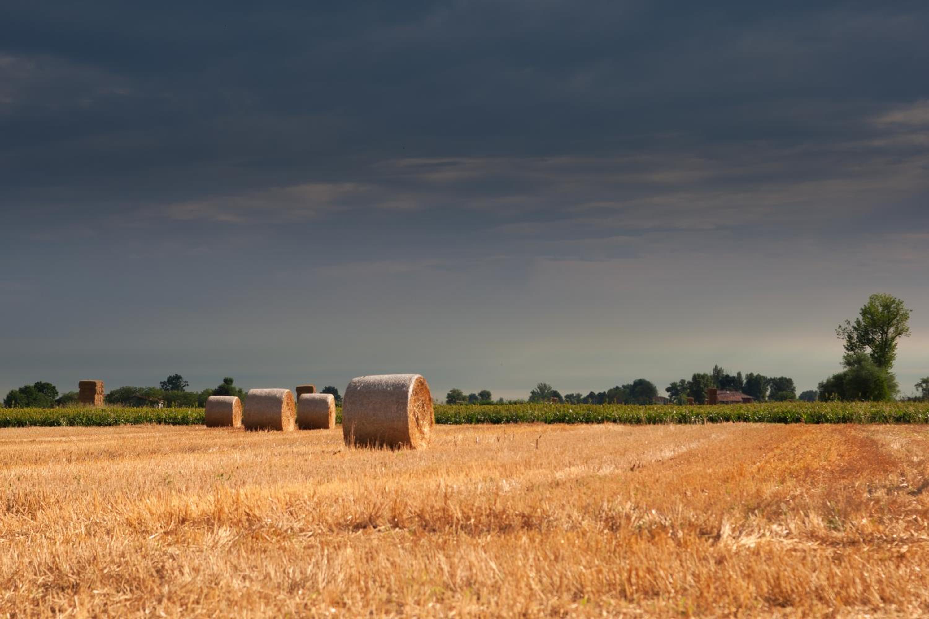 Agriturismo Primaluna
