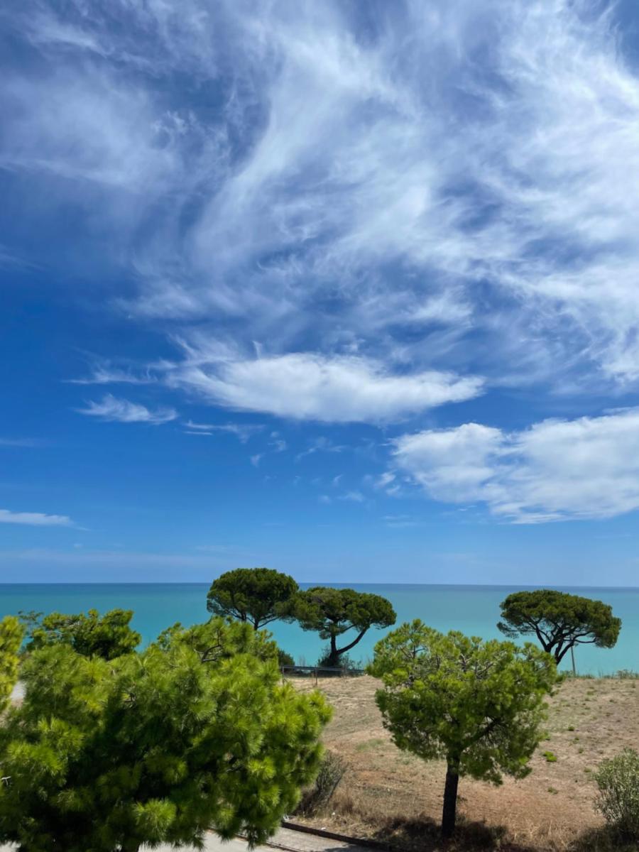 Maison Colline du Mer photo 5