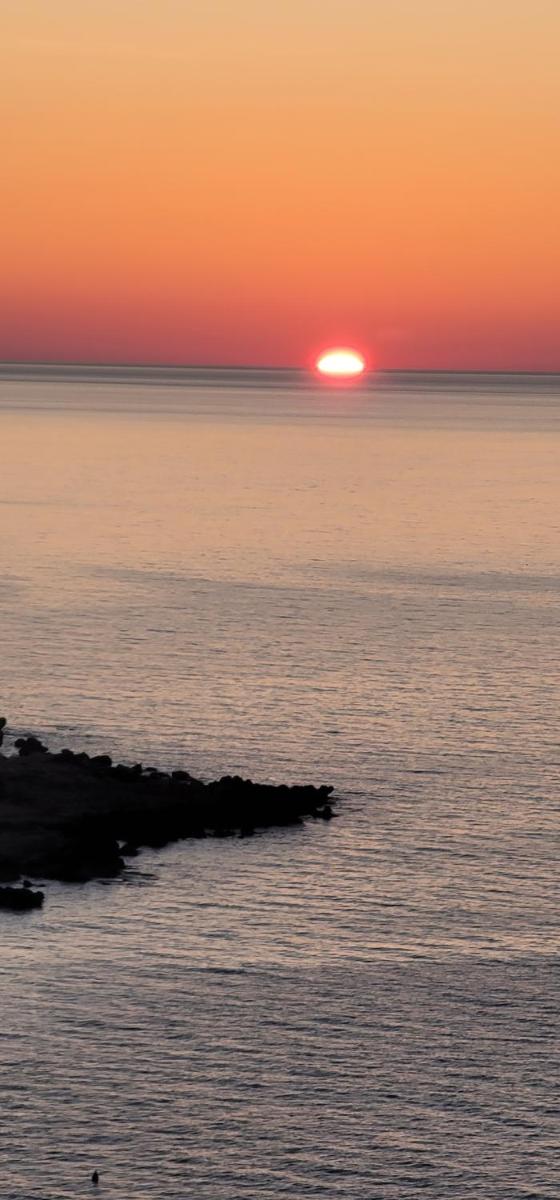 Vila Seknič view 5
