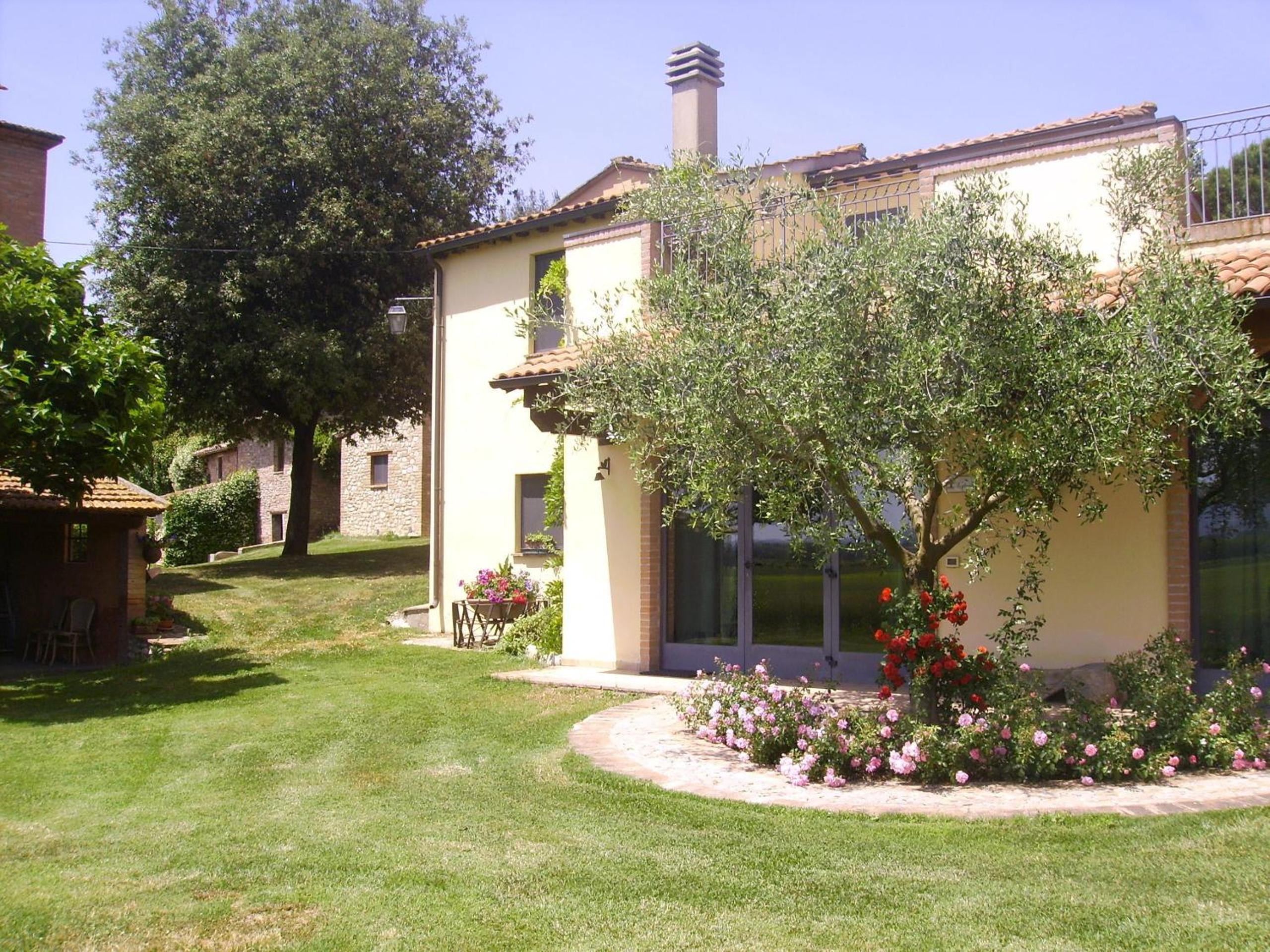 Photo 8