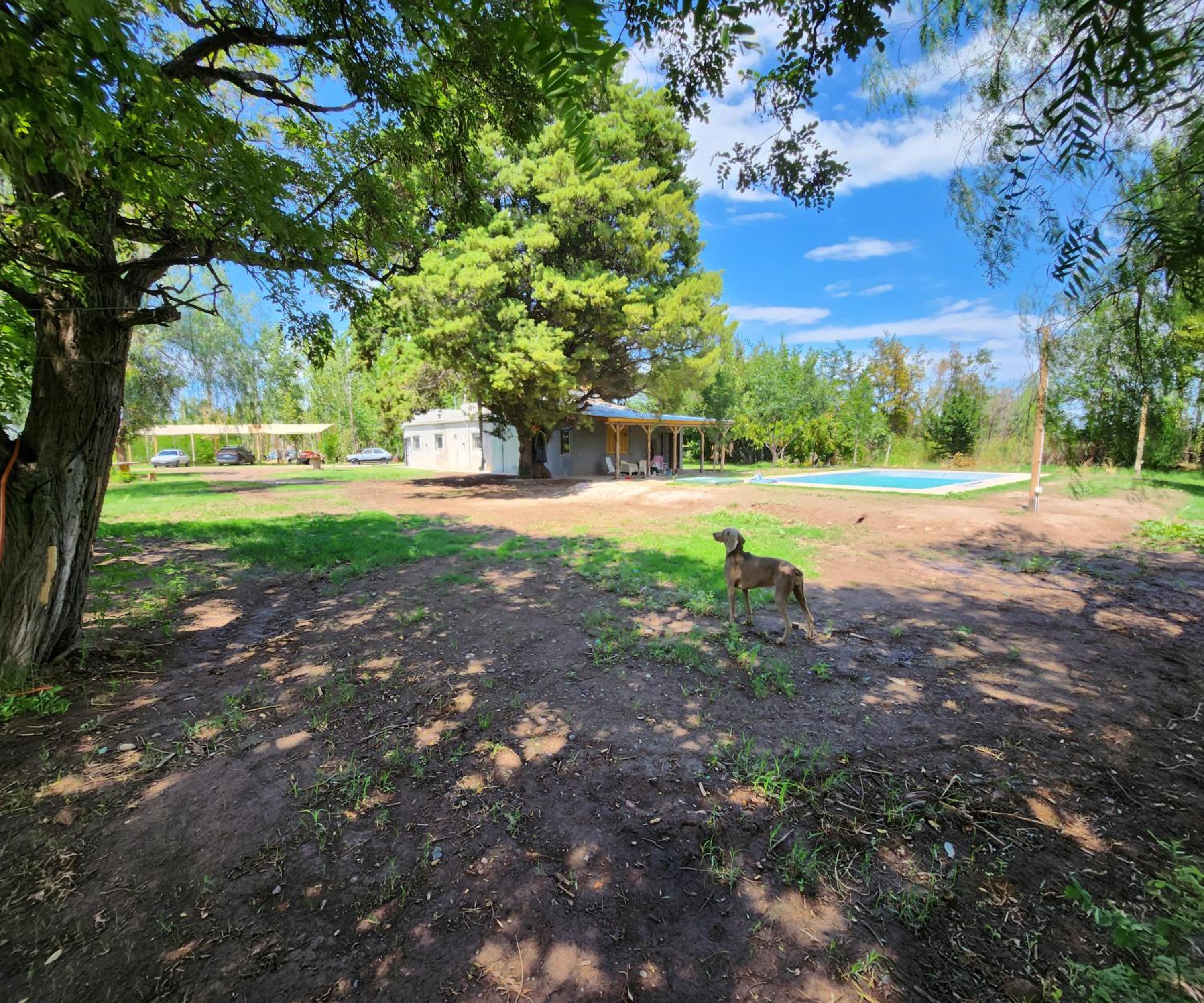 Finca Laurel