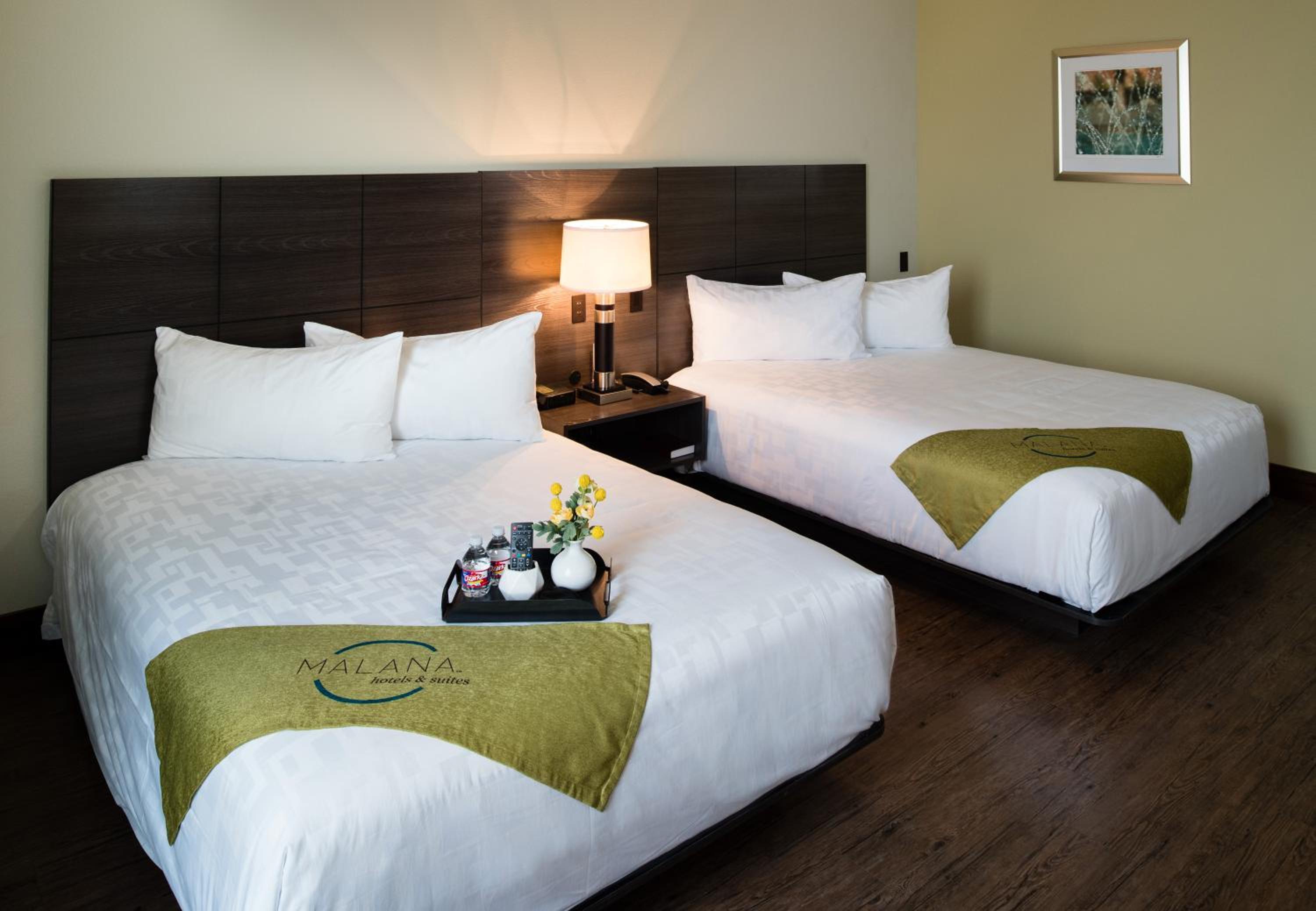 Malana Hotels & Suites