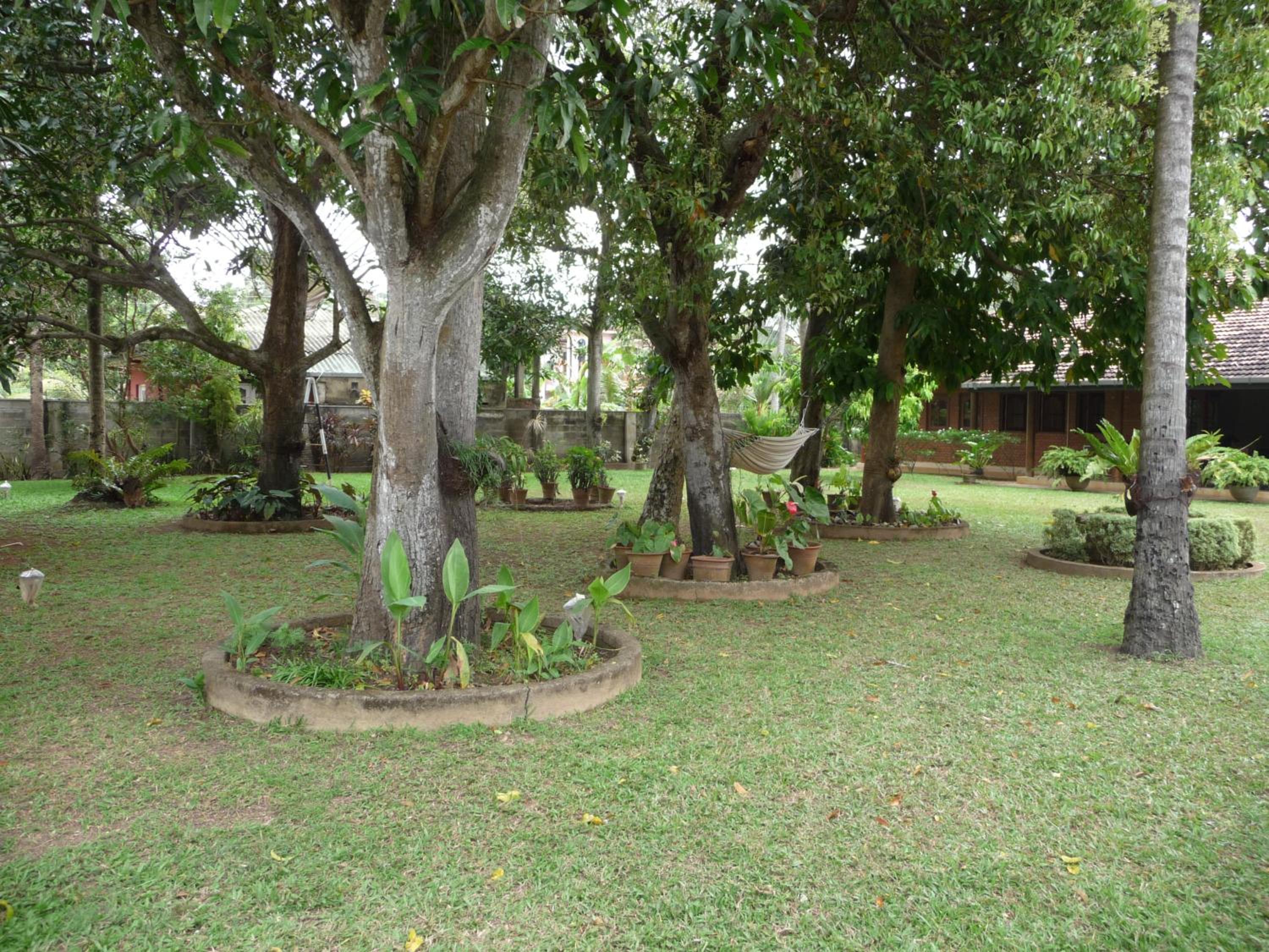 Photo 30