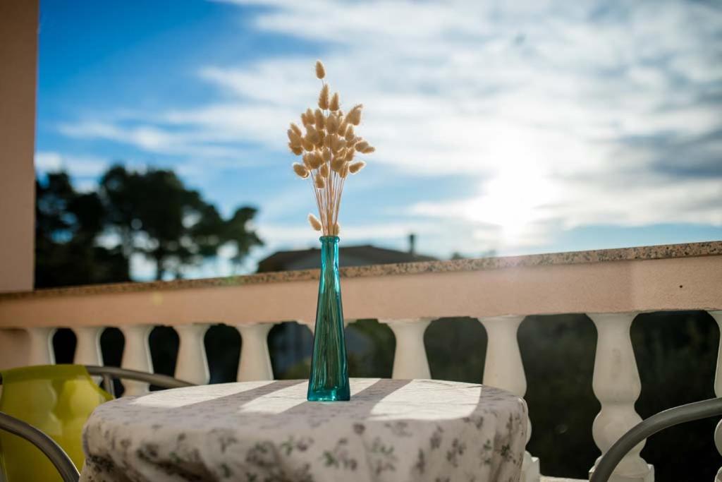 Apartmani Luka
