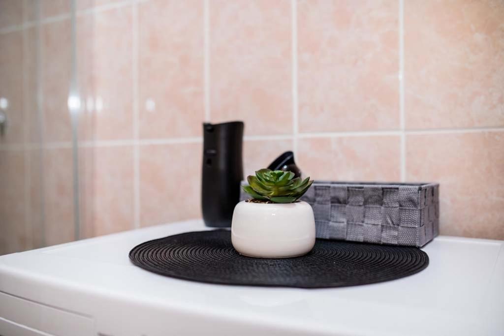 Apartmani Luka
