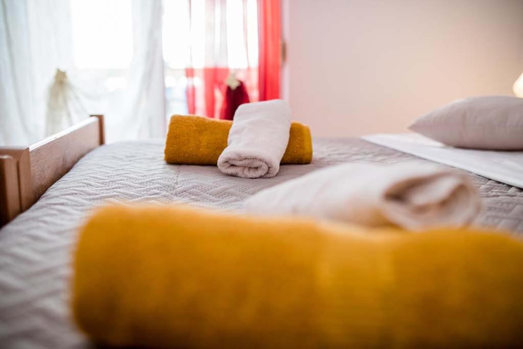 Apartmani Luka