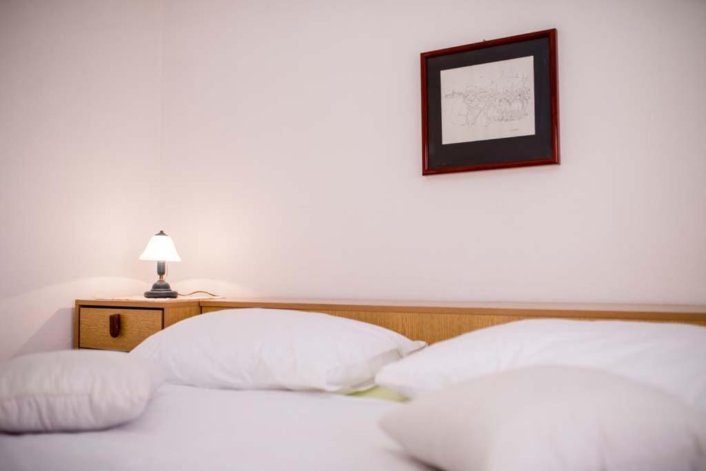Apartmani Luka