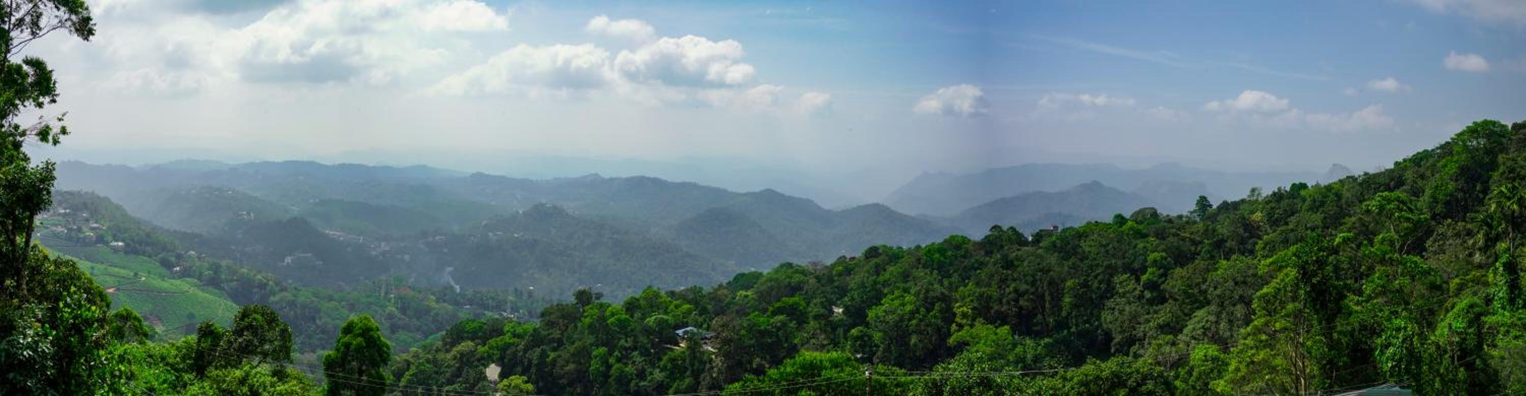 Munnar View Cottage view 5