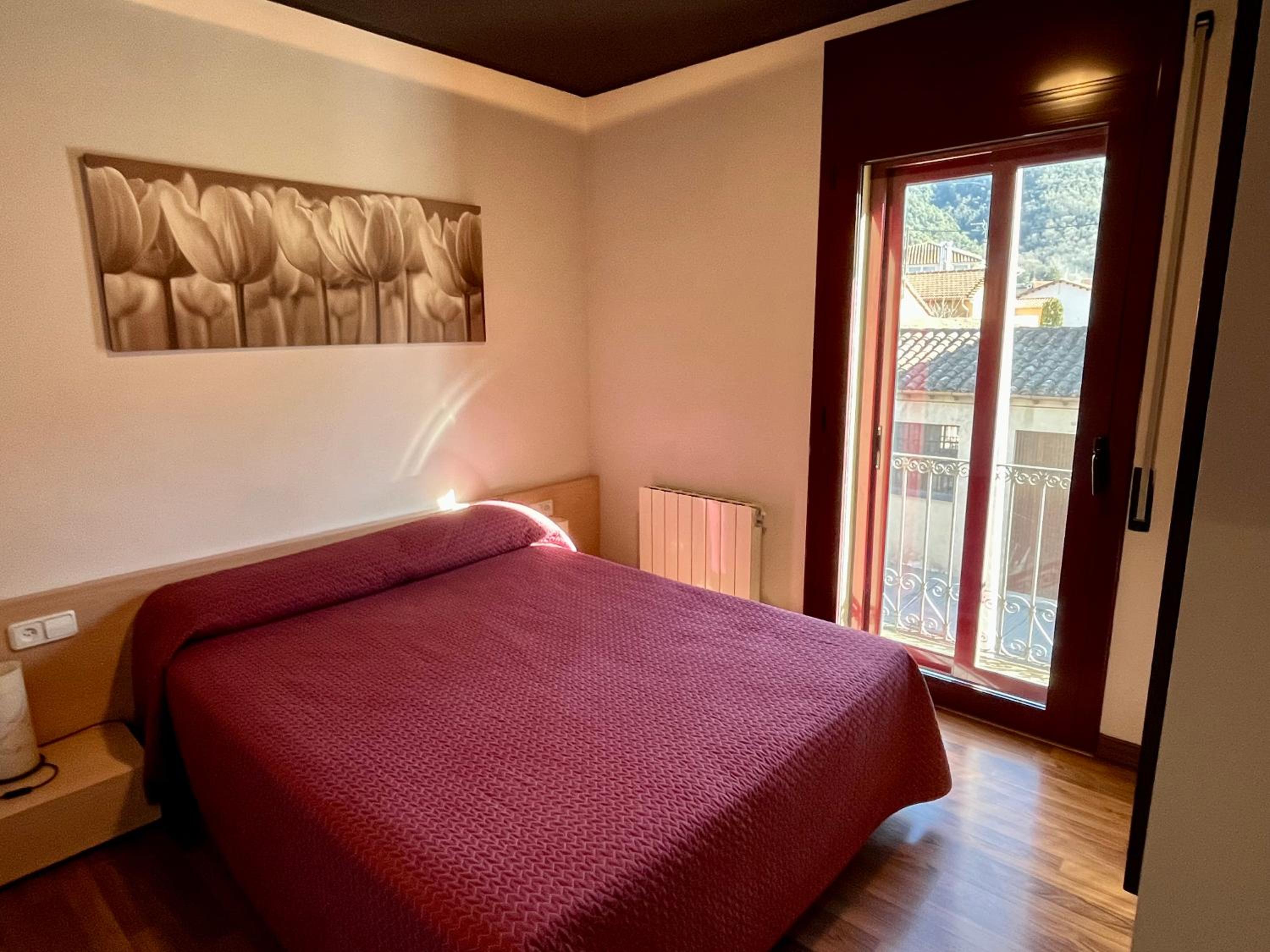 Can Morera Apartaments a Les Preses view 2