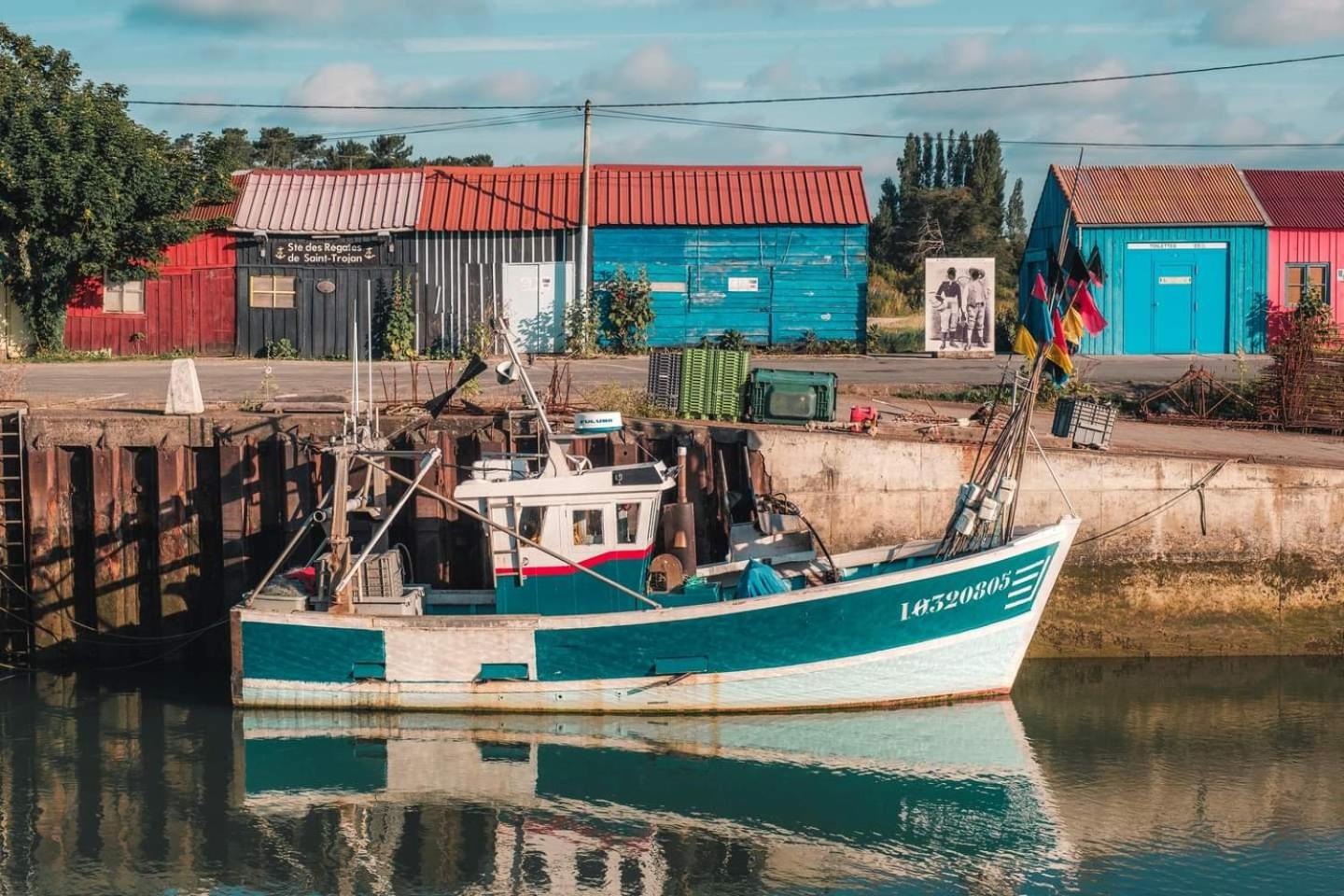 iledo, photo 9