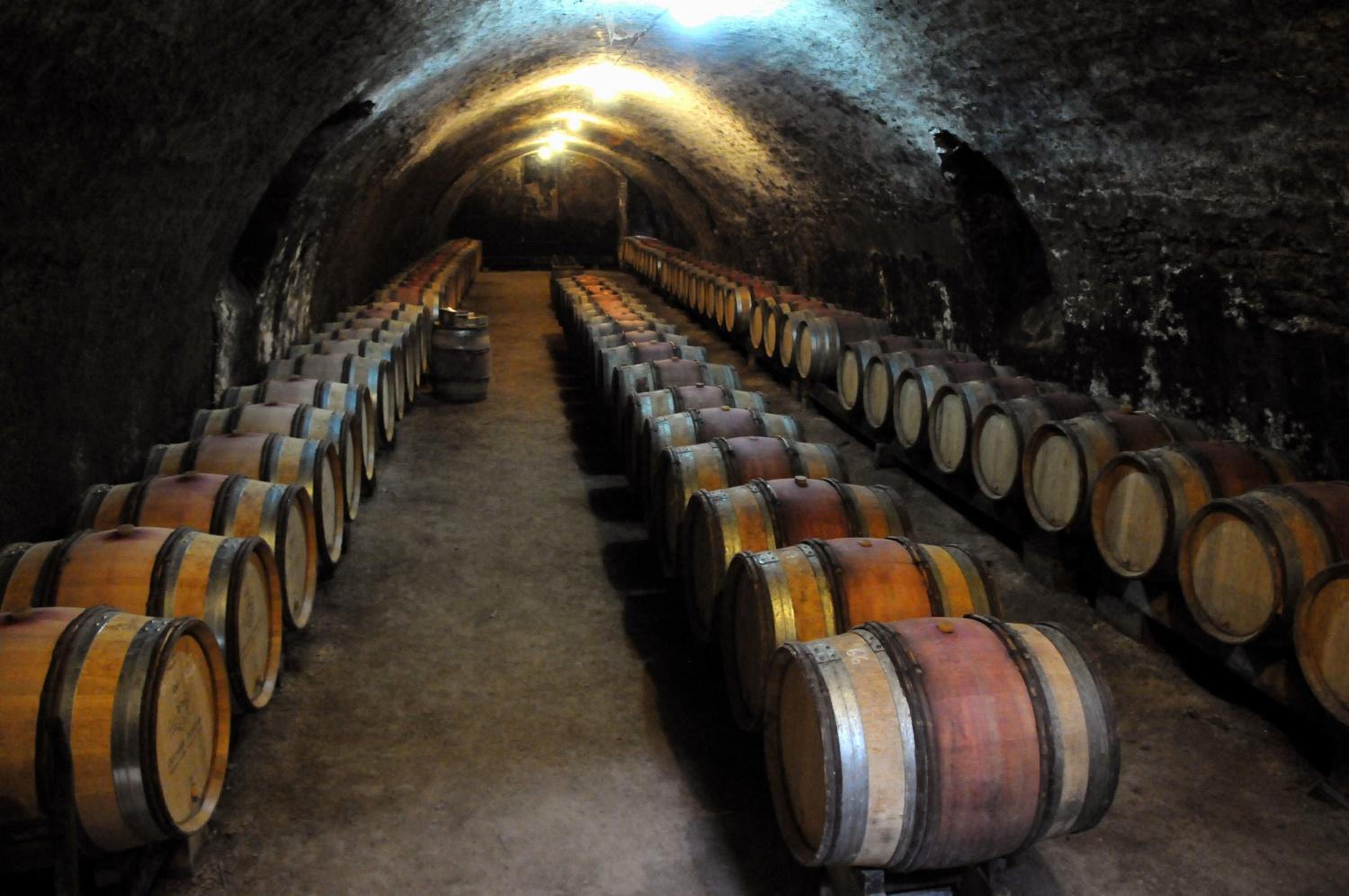 Maison Borgnat domaine viticole