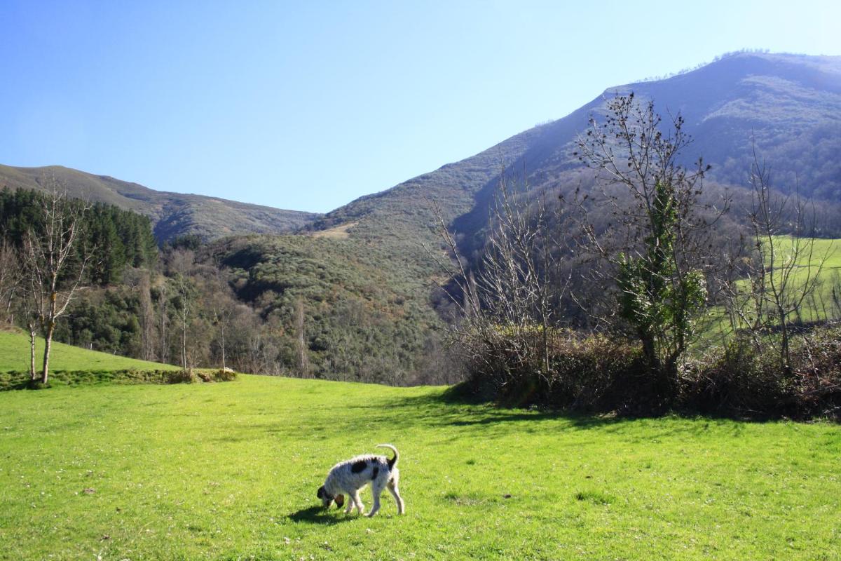 Posada de Tollo