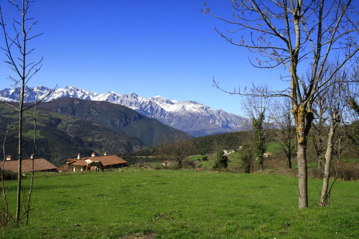 Posada de Tollo