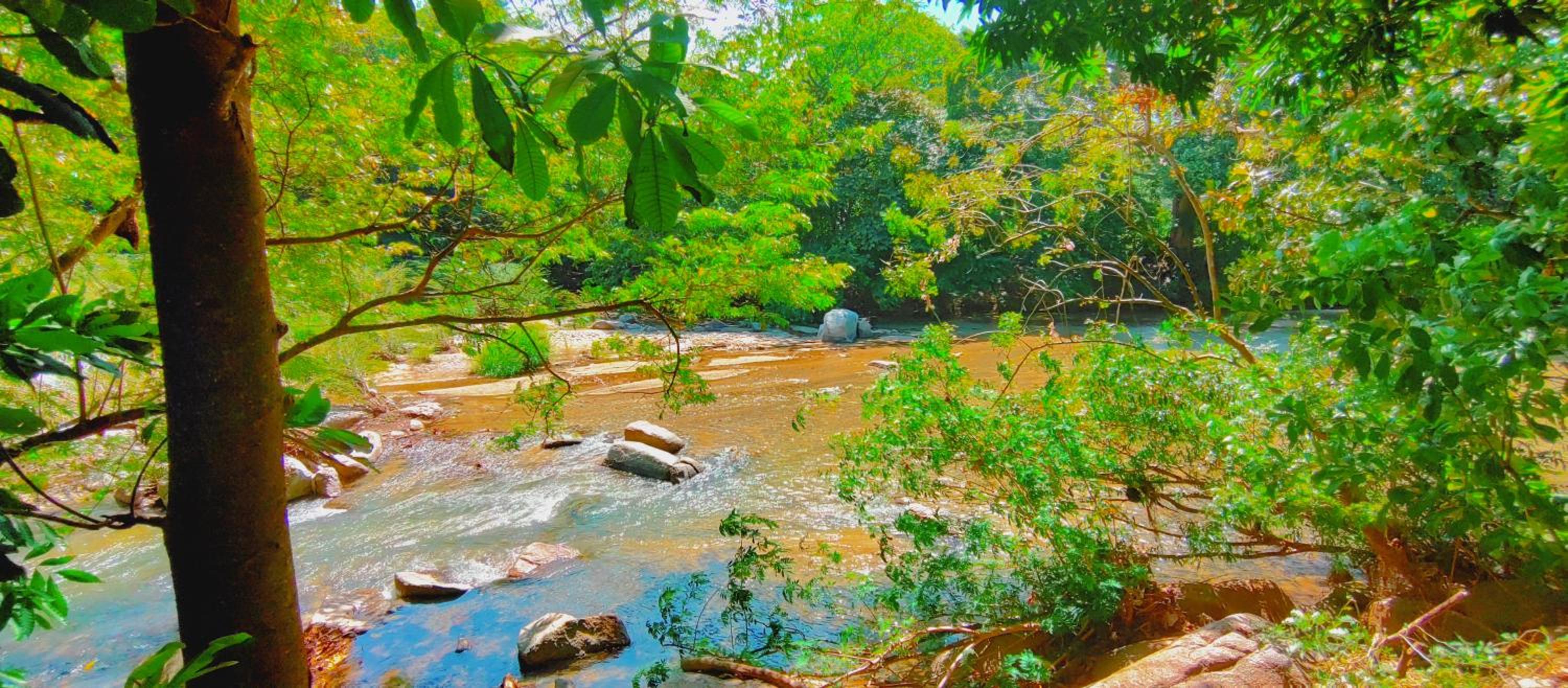 Casa kumake tayrona