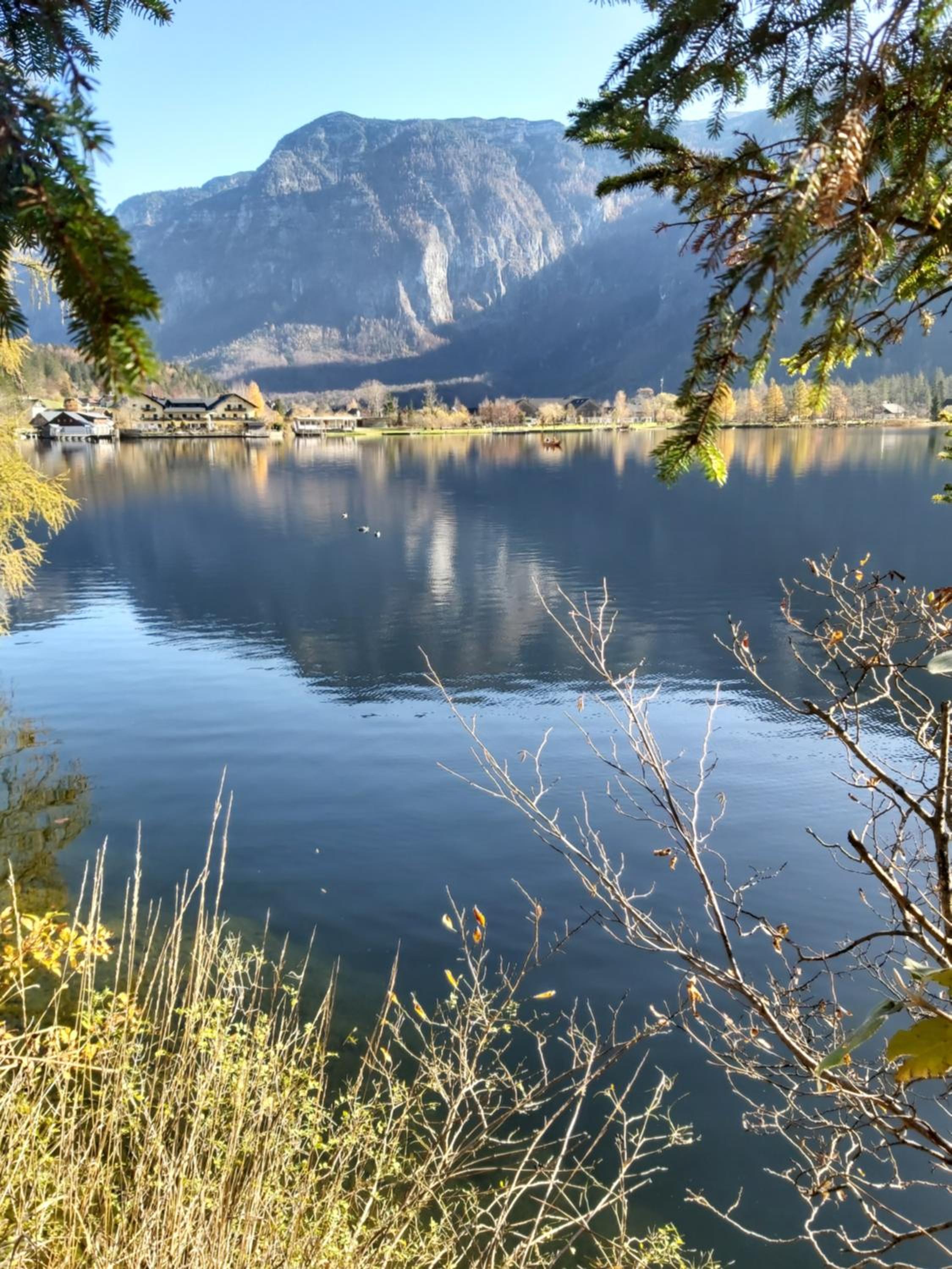 Seehof Royer