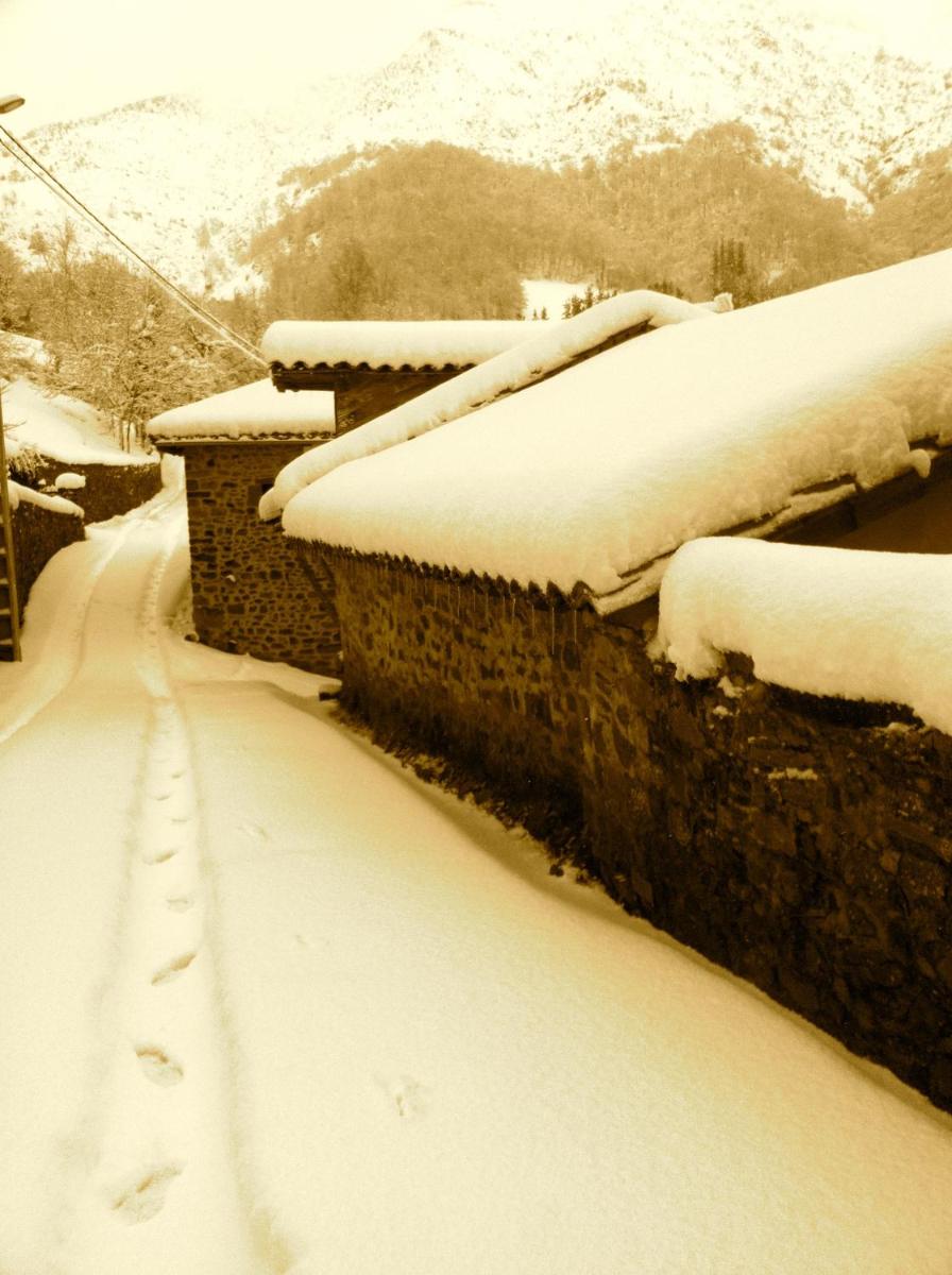 Posada de Tollo