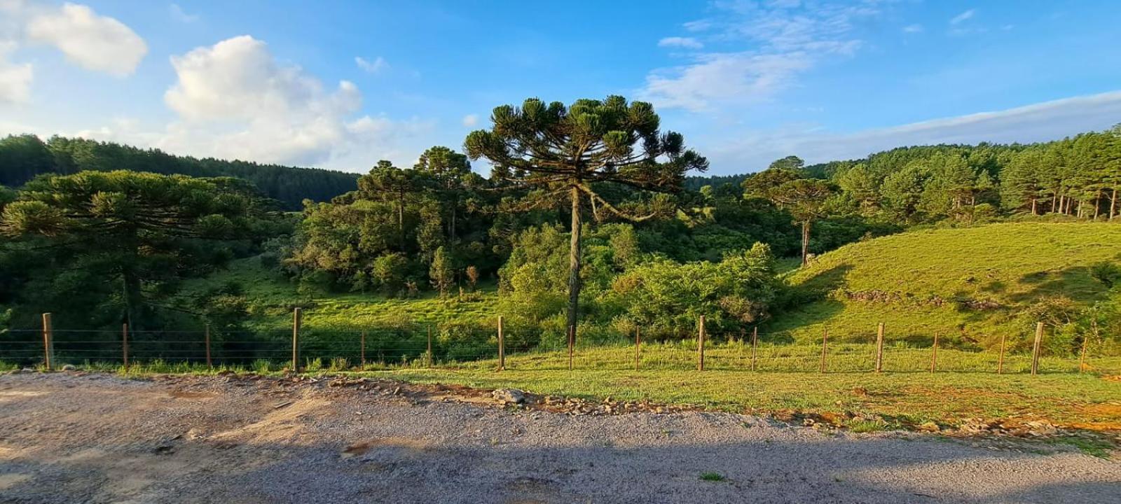 Sítio Passo do Carro