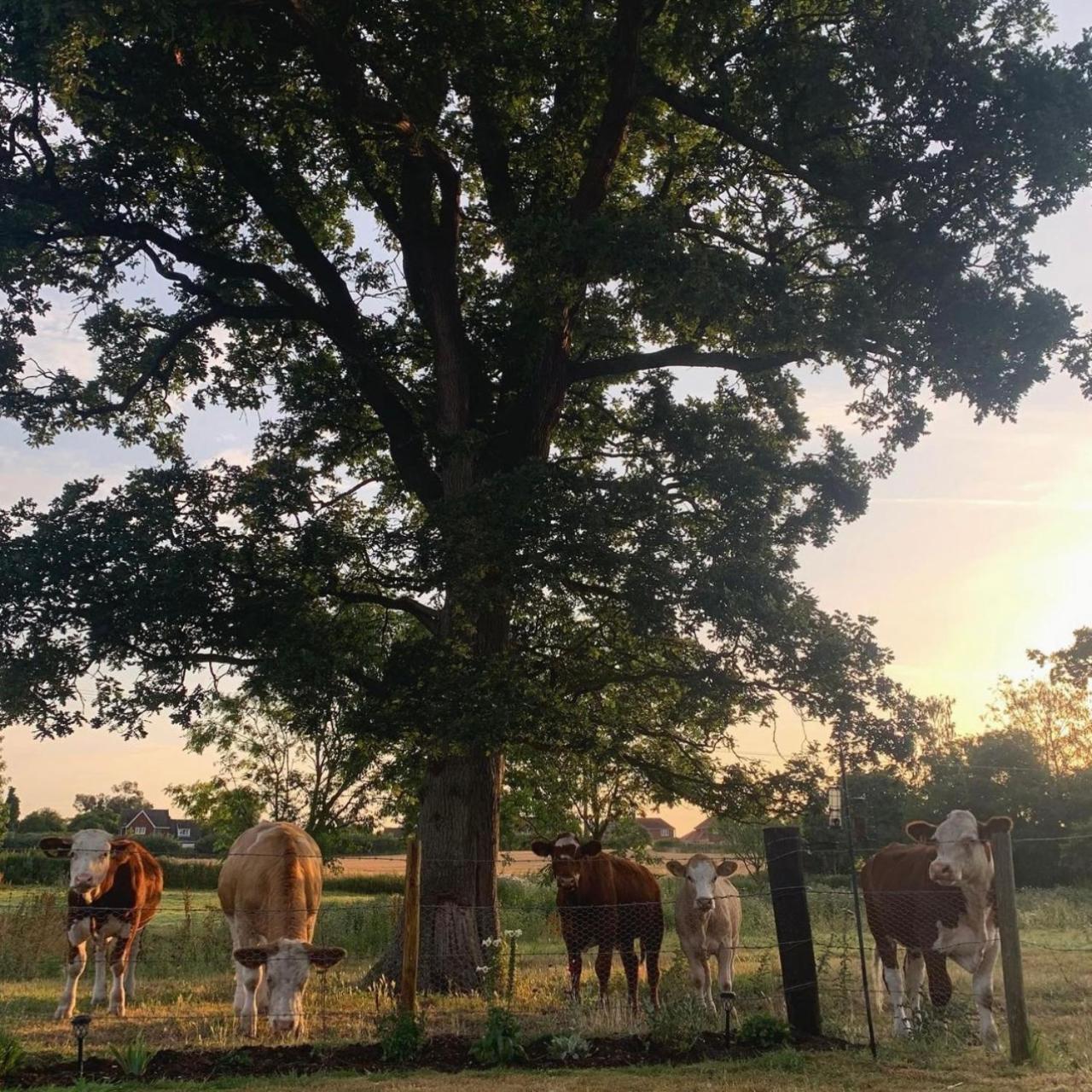Church Farm view 4