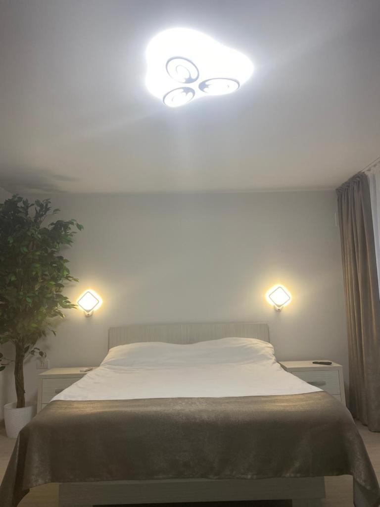 Suzana Garden view 2