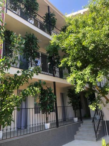 Suzana Garden
