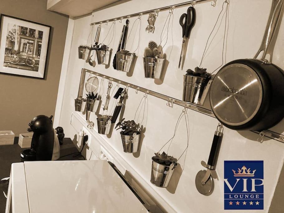 VIP LOUNGE Appartement avec Jacuzzi et jardin