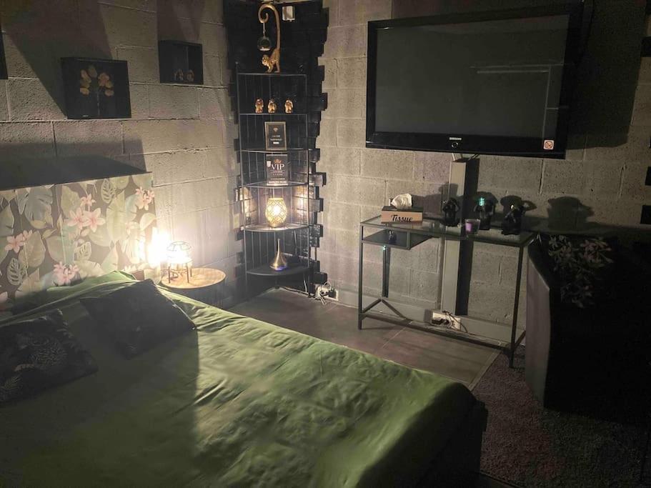 VIP LOUNGE Appartement avec Jacuzzi et jardin