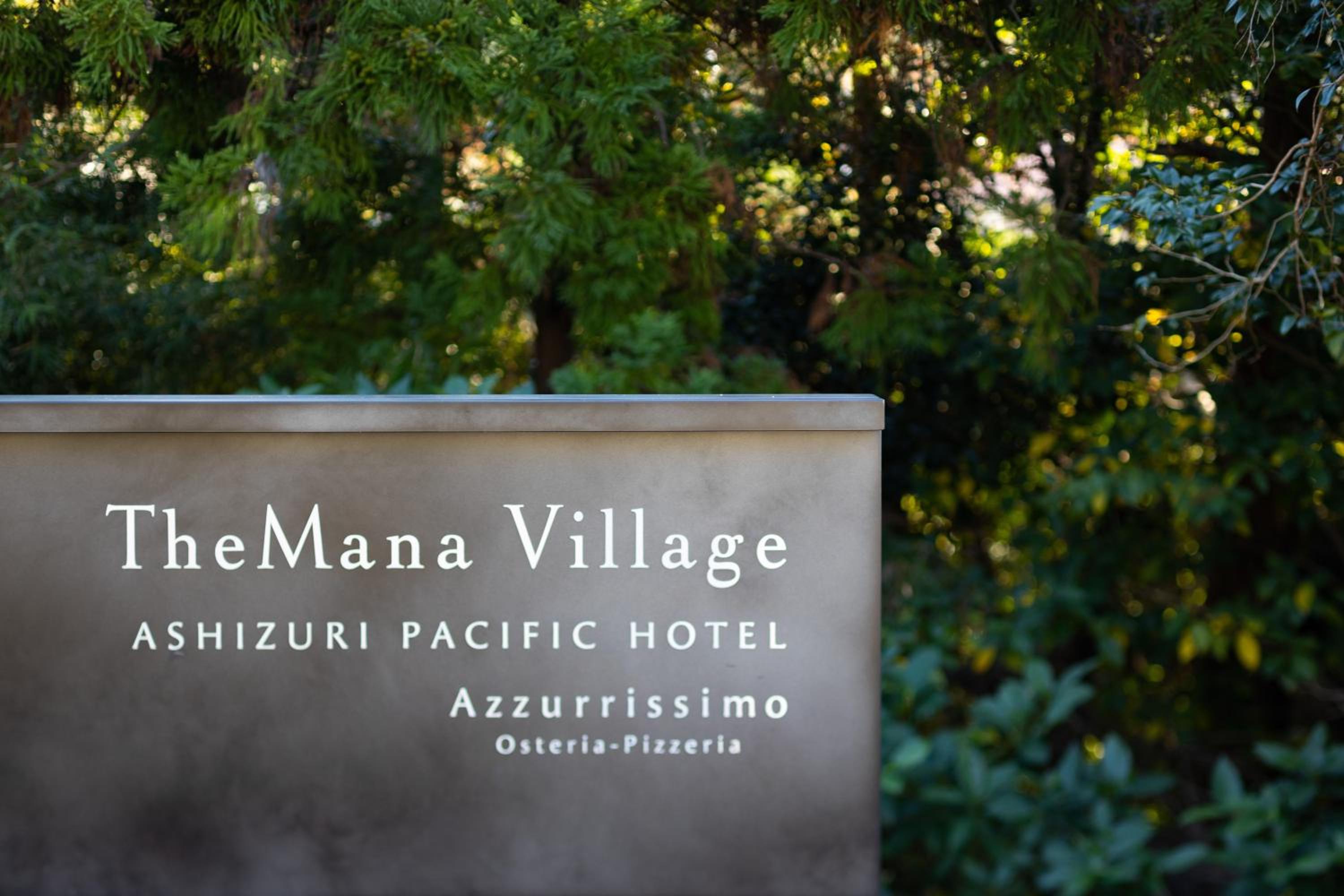 TheMana Village