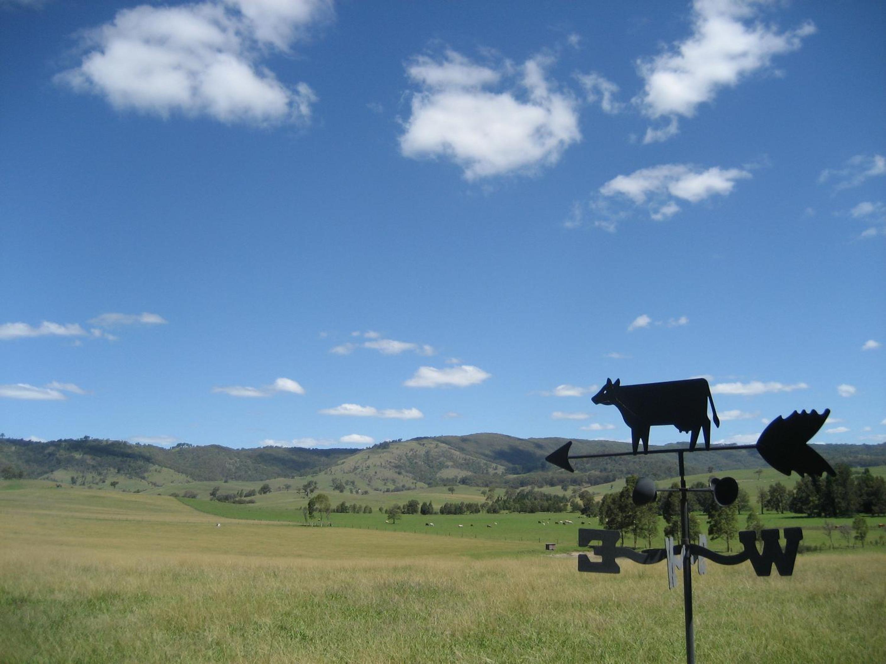 The Wattle Lodge