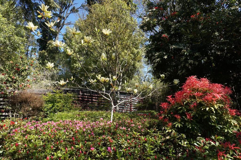 Cloudland Garden Oasis