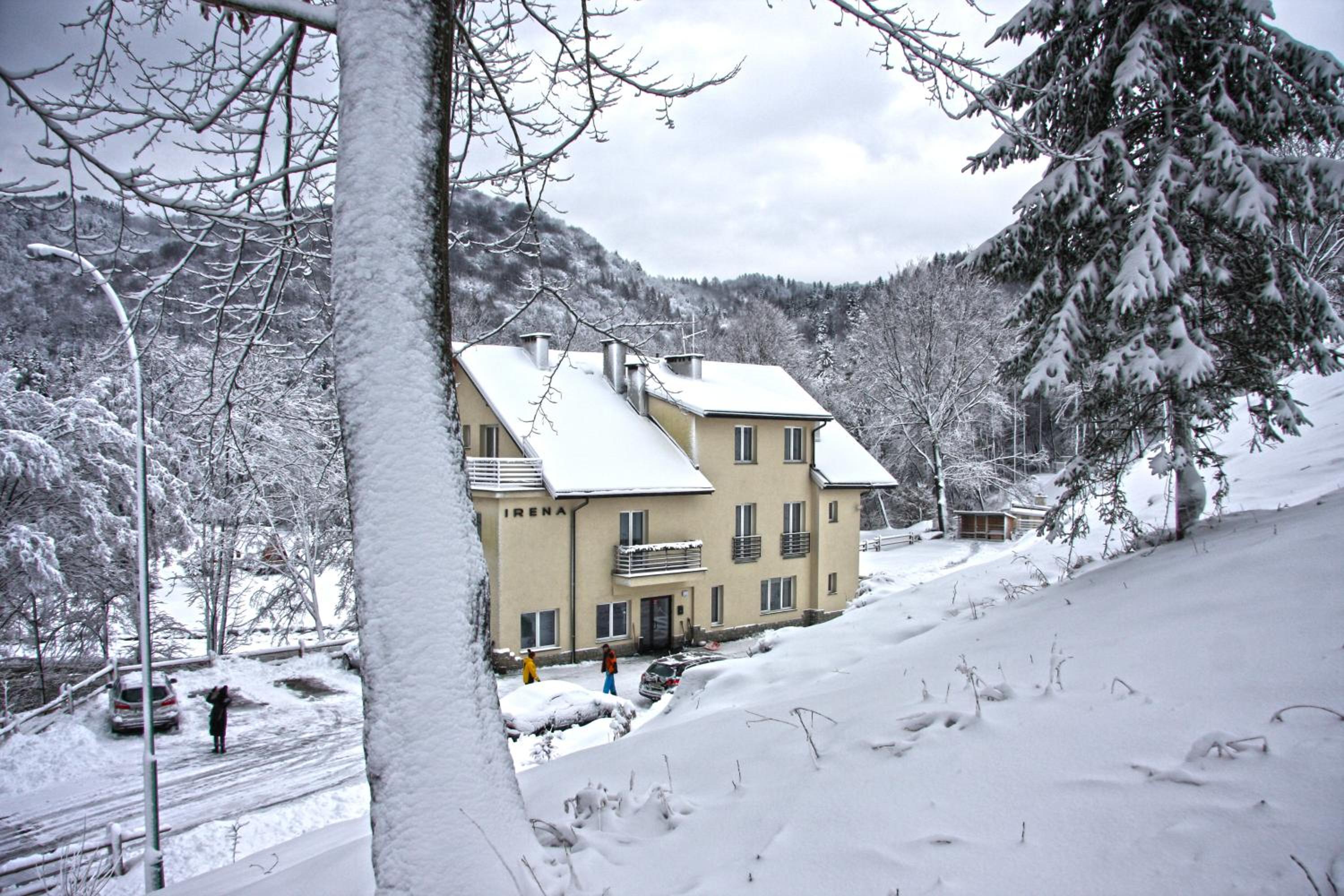 Photo 40