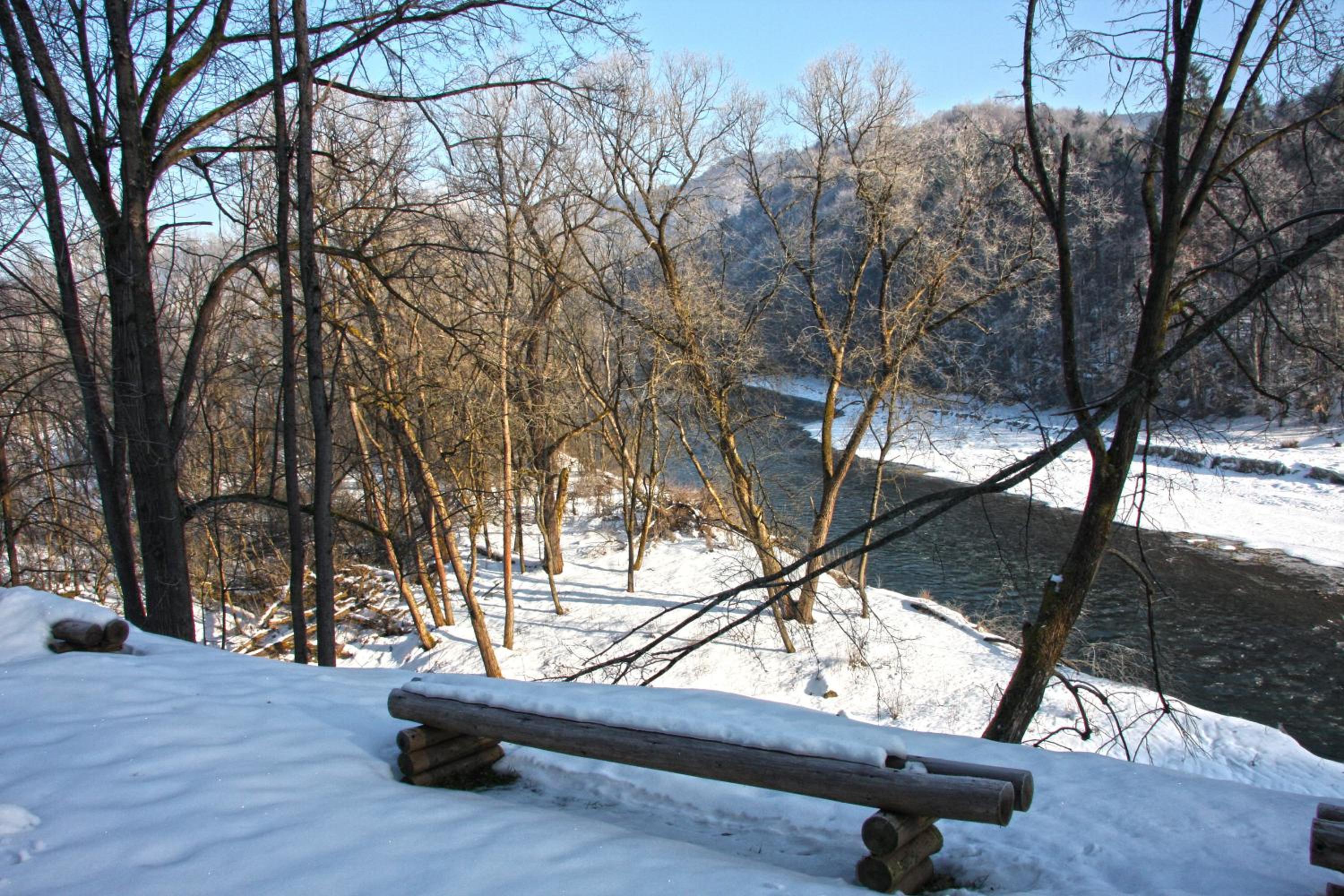 Photo 41