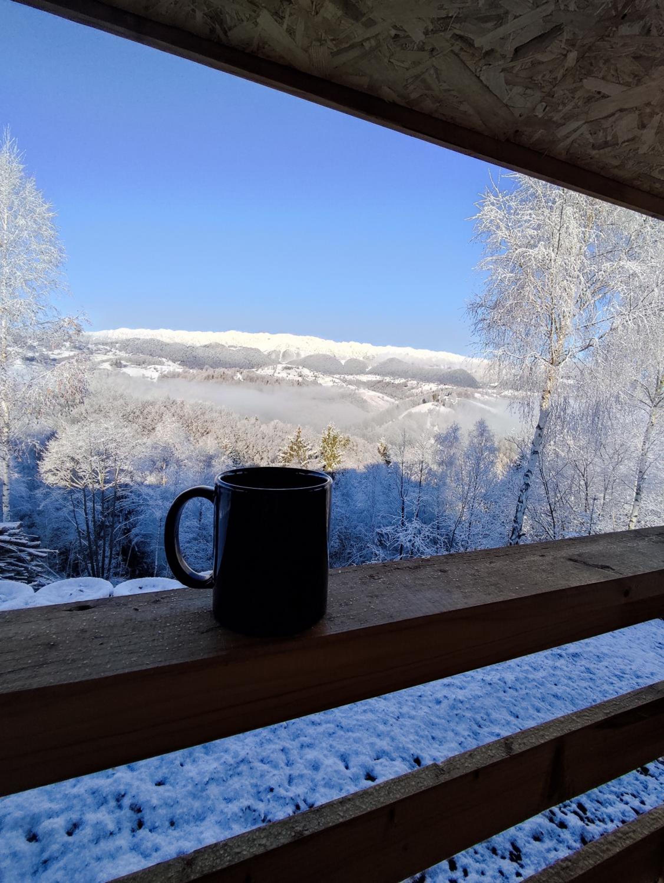 Cabana doi mesteceni