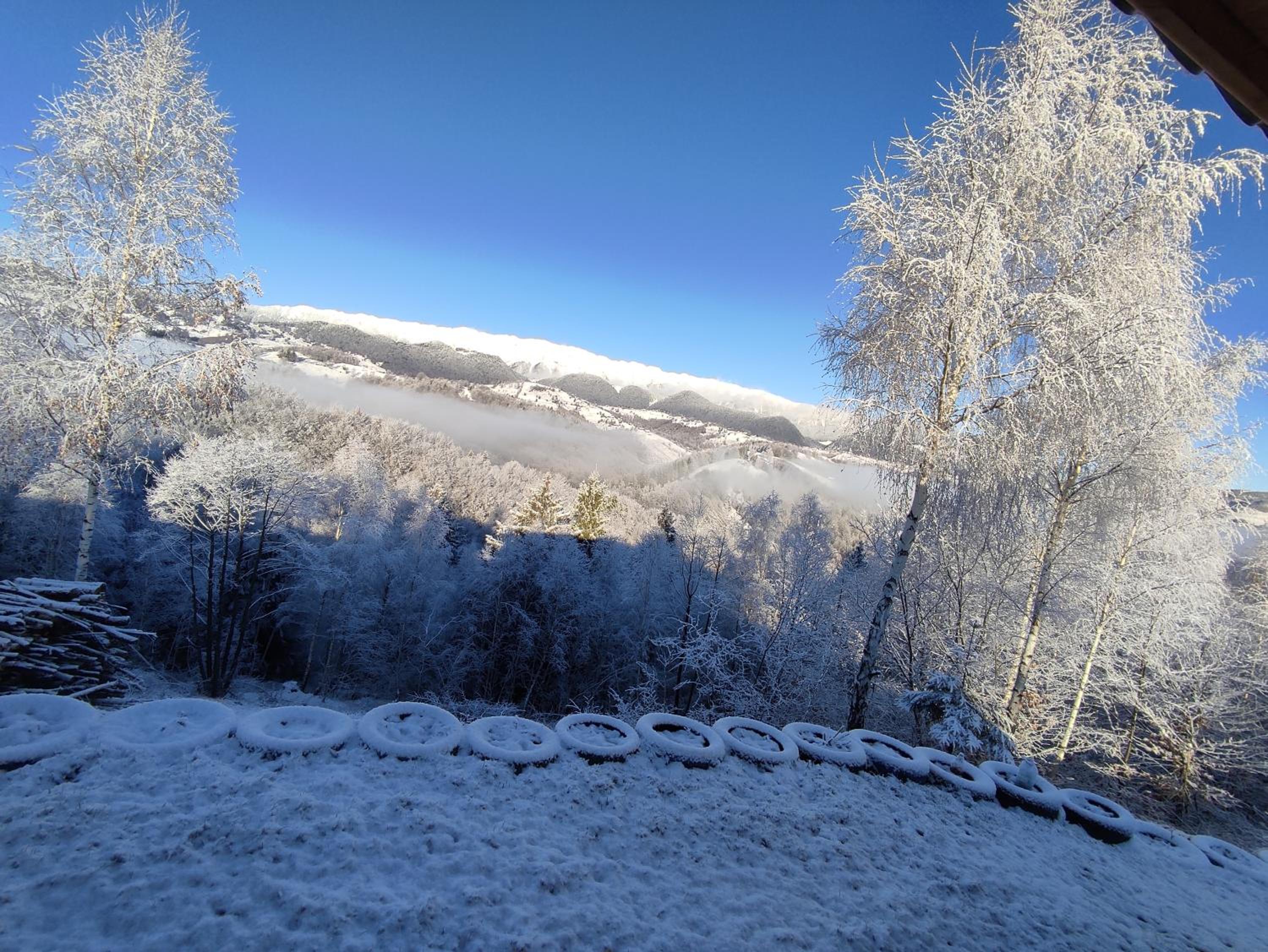 Cabana doi mesteceni
