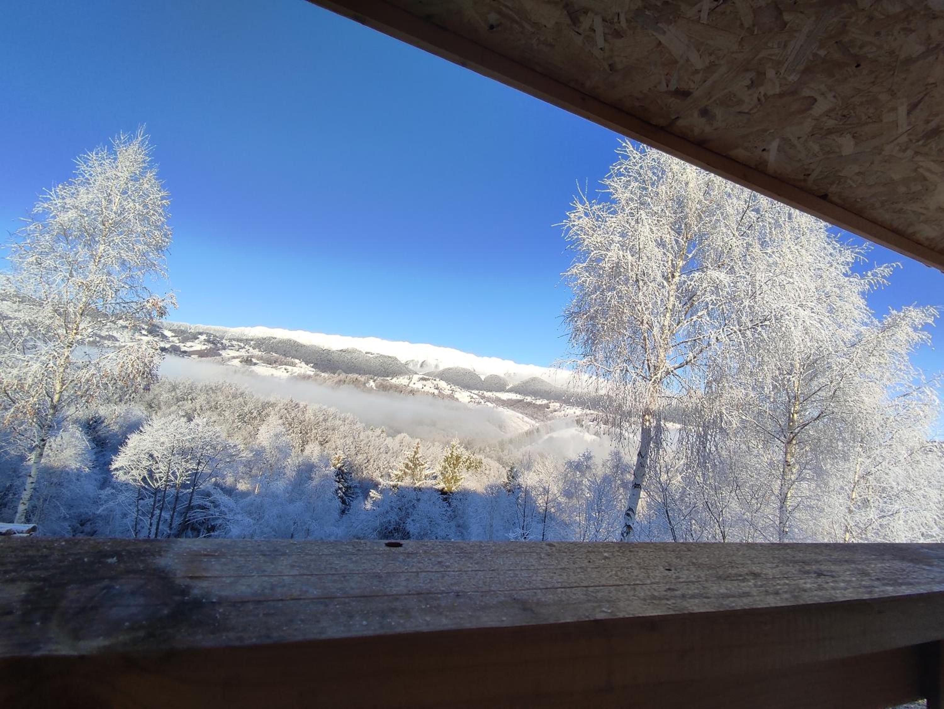 Cabana doi mesteceni