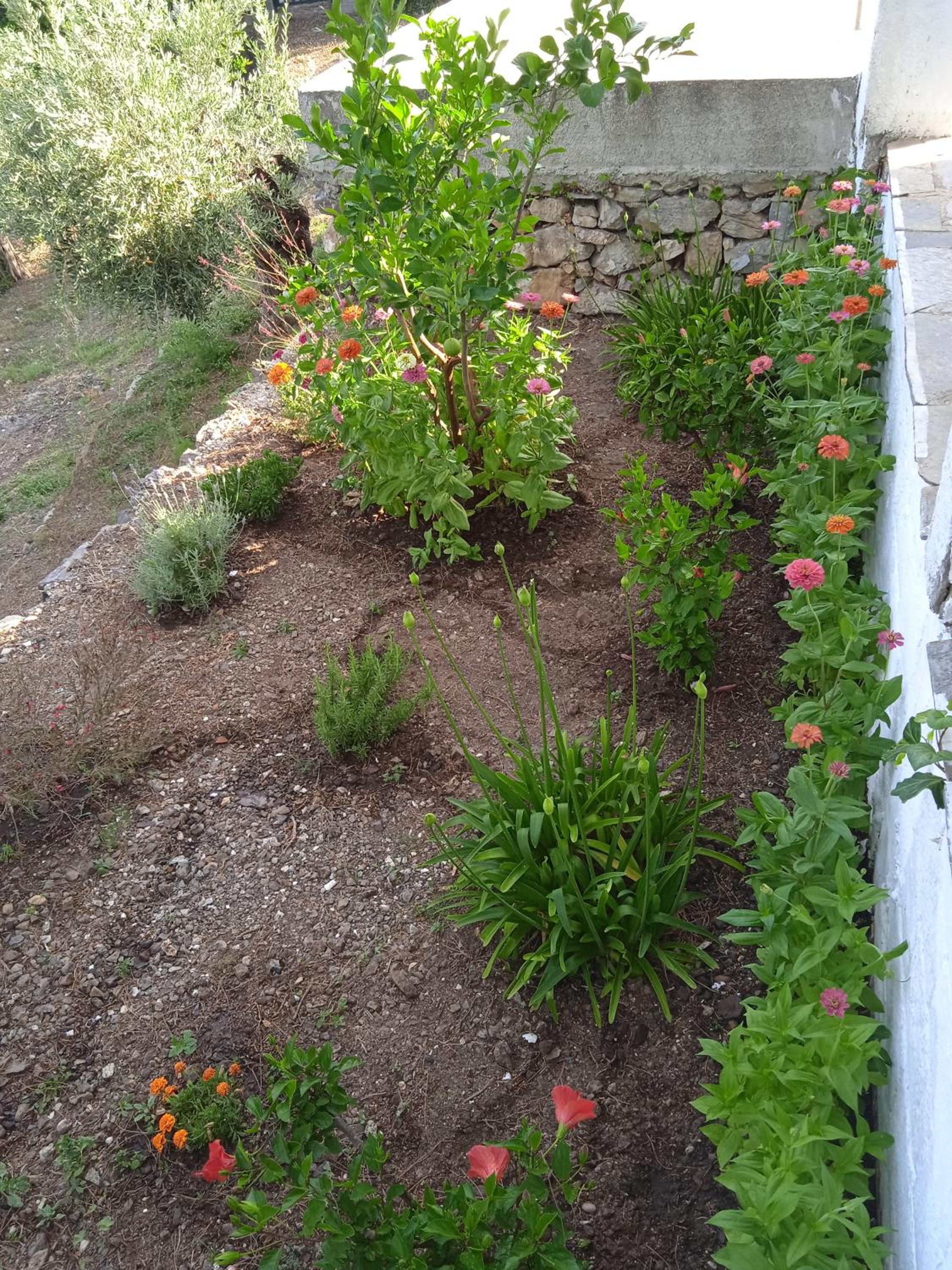 Photo 26
