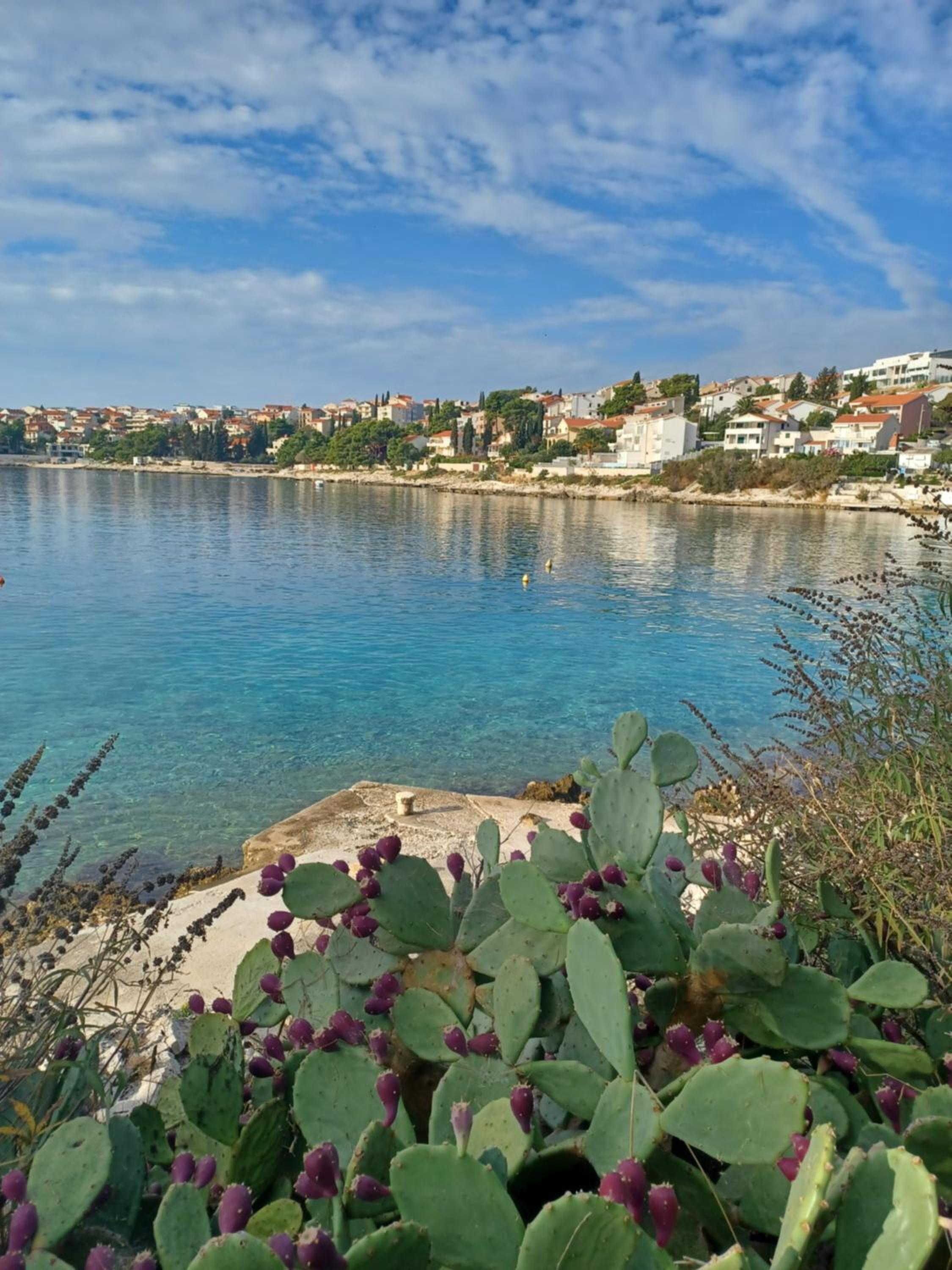 Apartment Adria Relax with private heated pool view 5