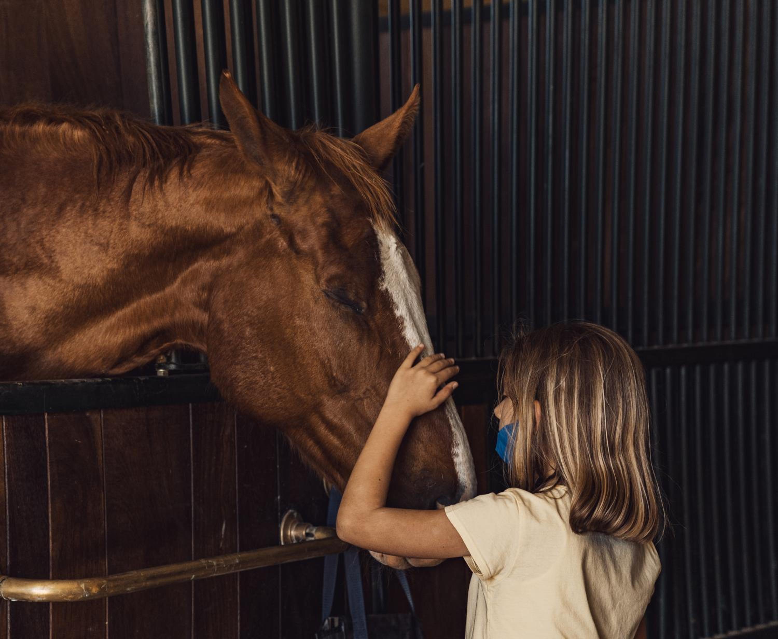 Podere Val D'Orcia - Tuscany Equestrian
