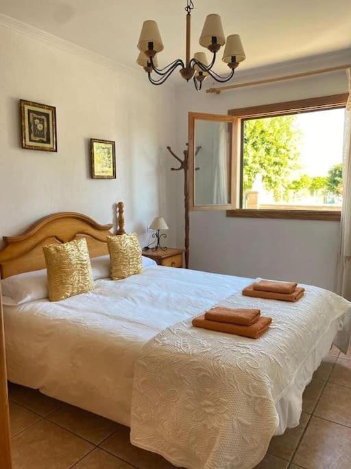 Luminoso chalet
