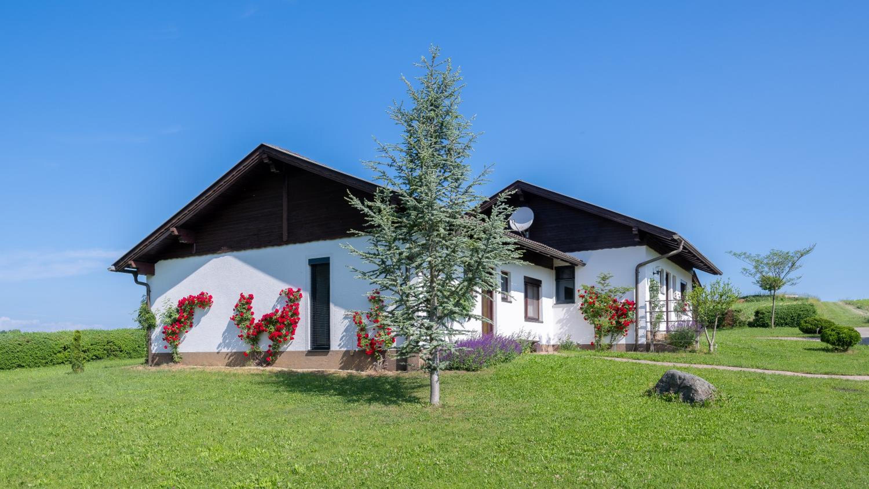 Erlebnisbauernhof Tschom view 4