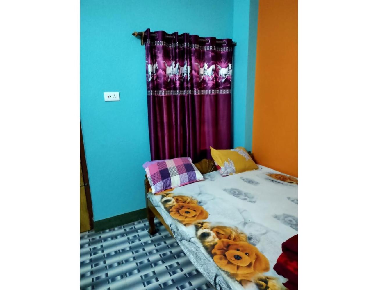 Sagar Lodge, Bishnupur, WB view 2