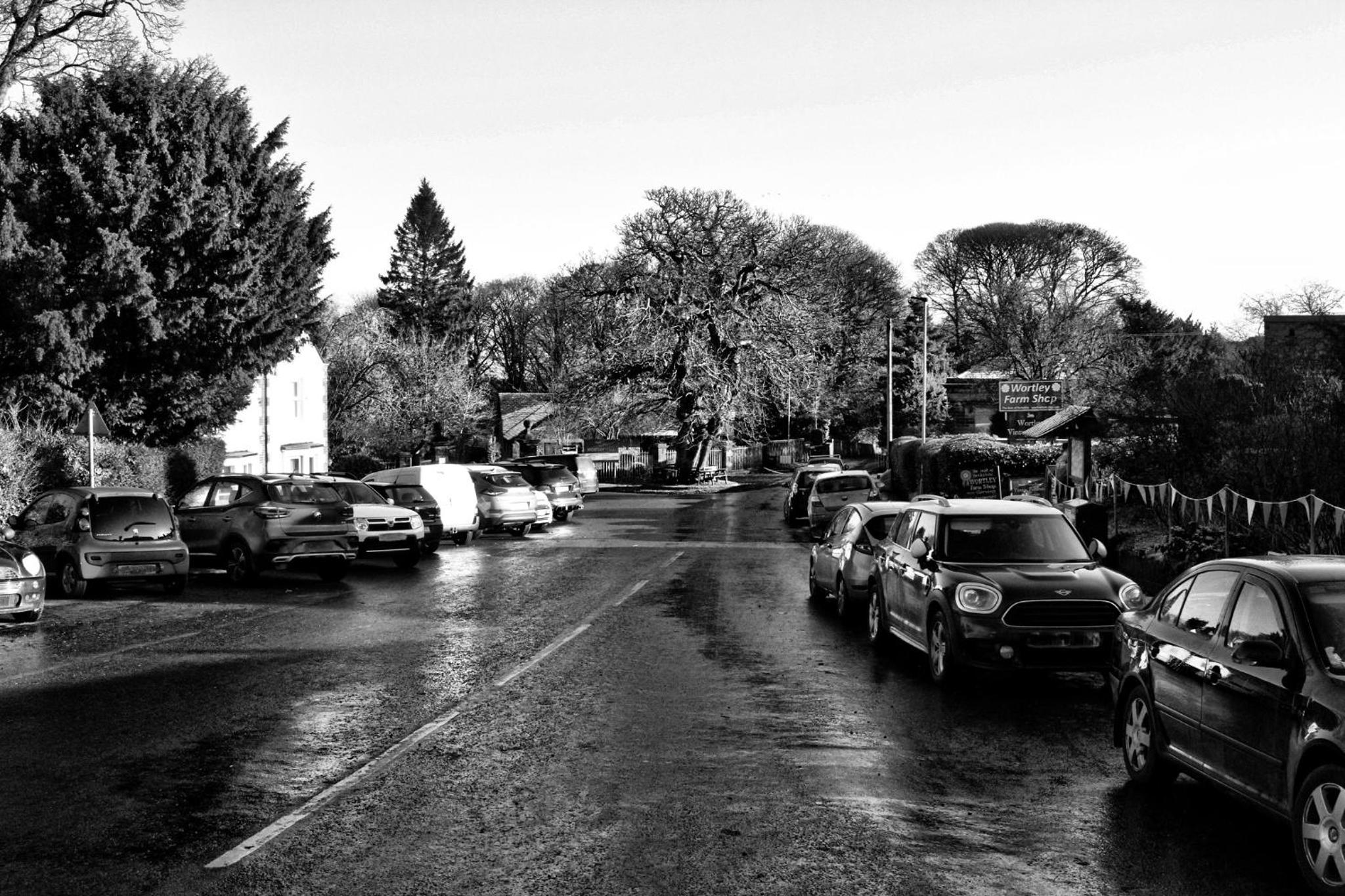 Photo 50