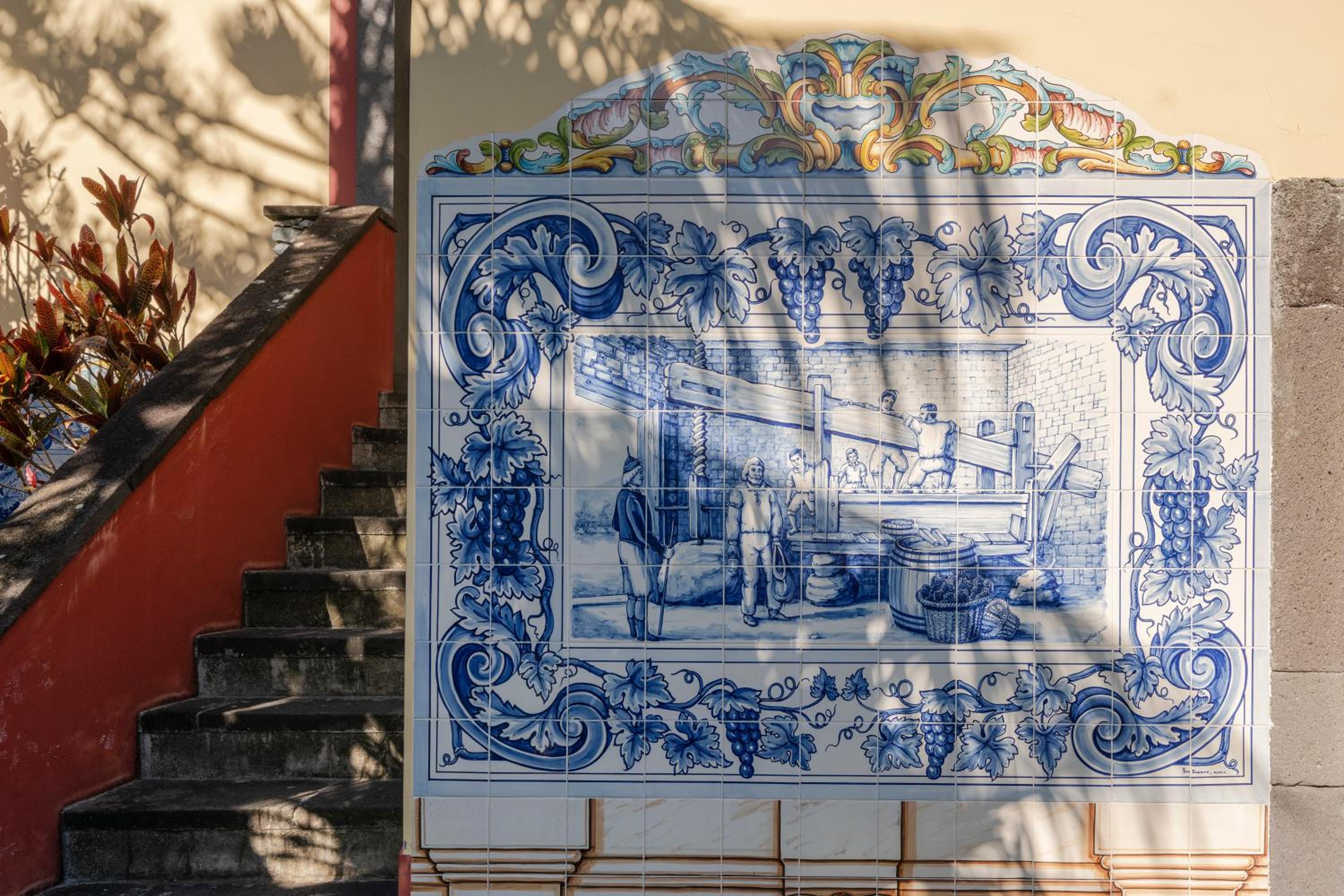 Casa Das Videiras