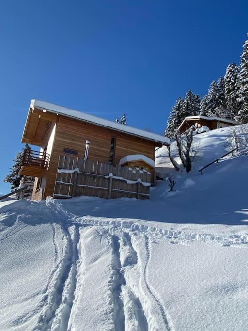 Chalet , Thyon Les Collons, 4 Vallées
