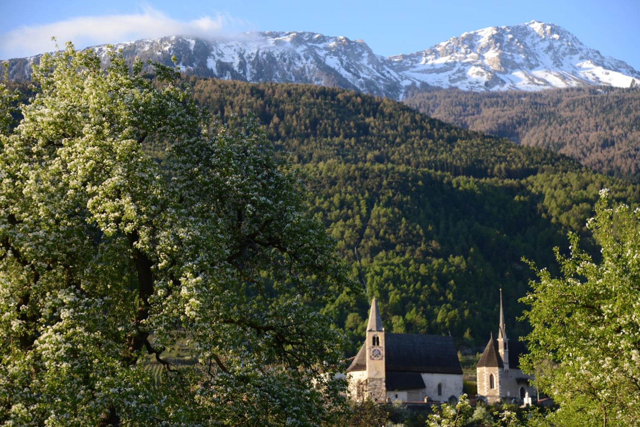 Sonnwarthof