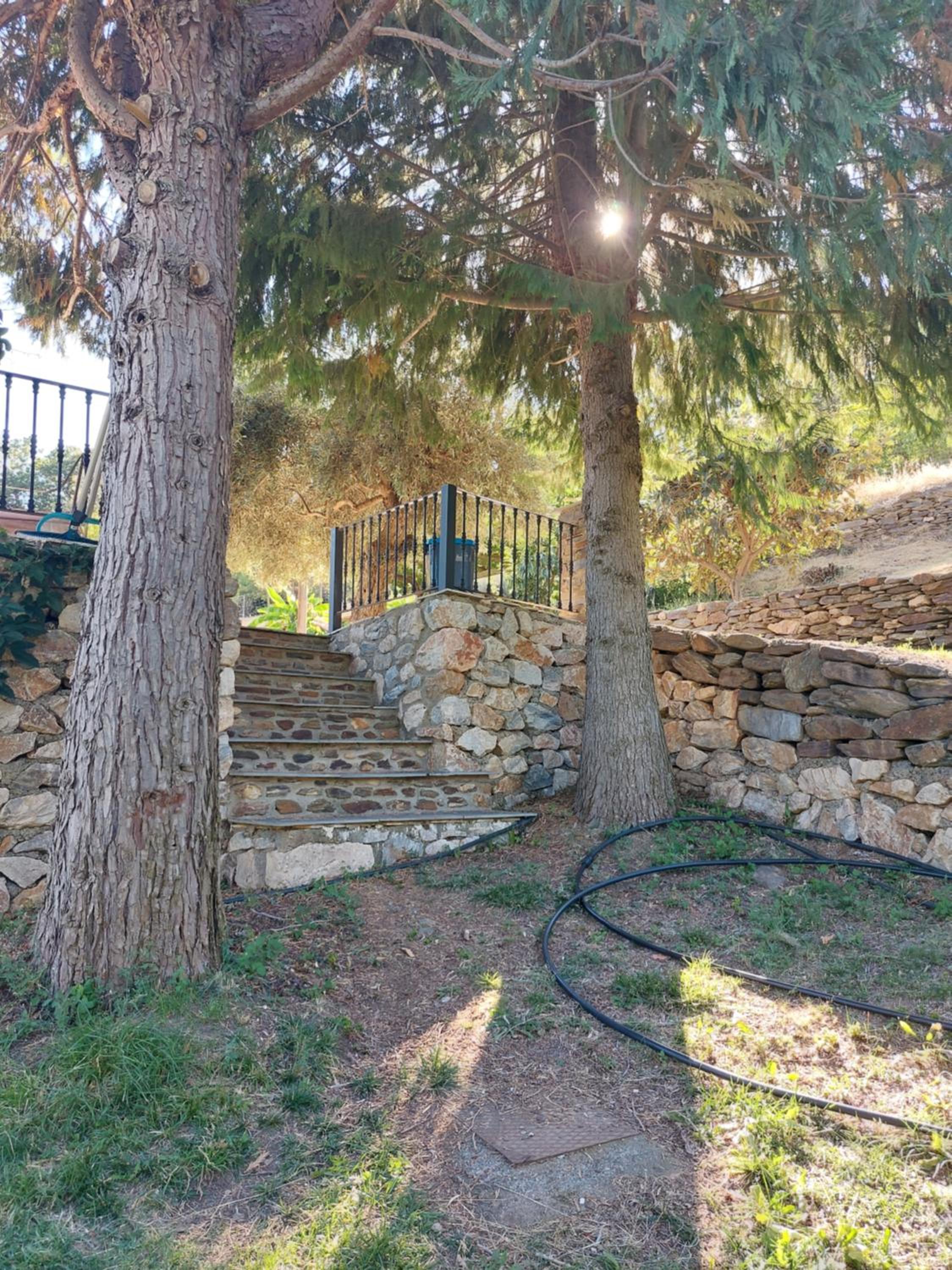 Cortijos Rey Fini