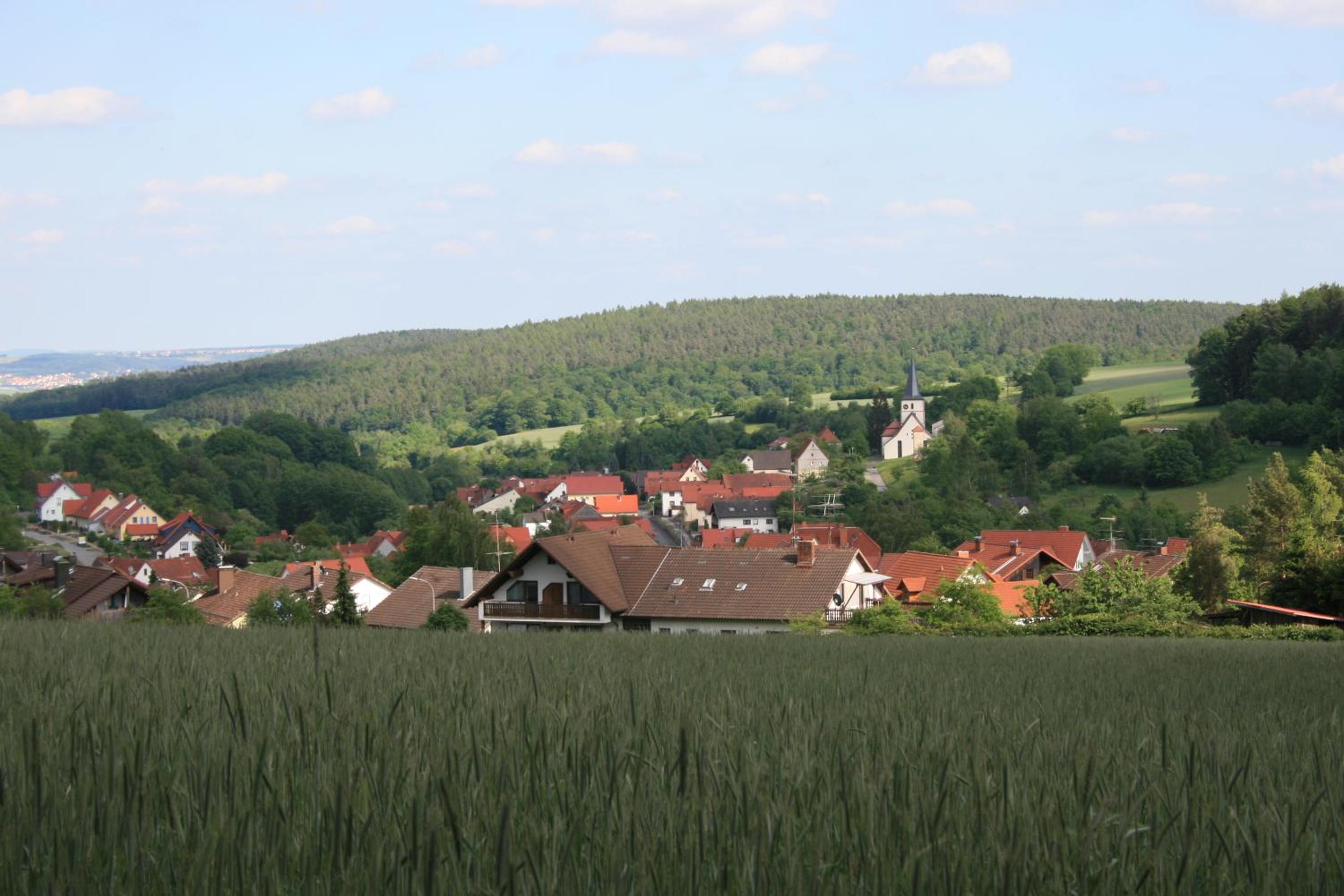 Pension-Ferienwohnung Liesbachtal direkt am Waldrand Bayerische Rhön