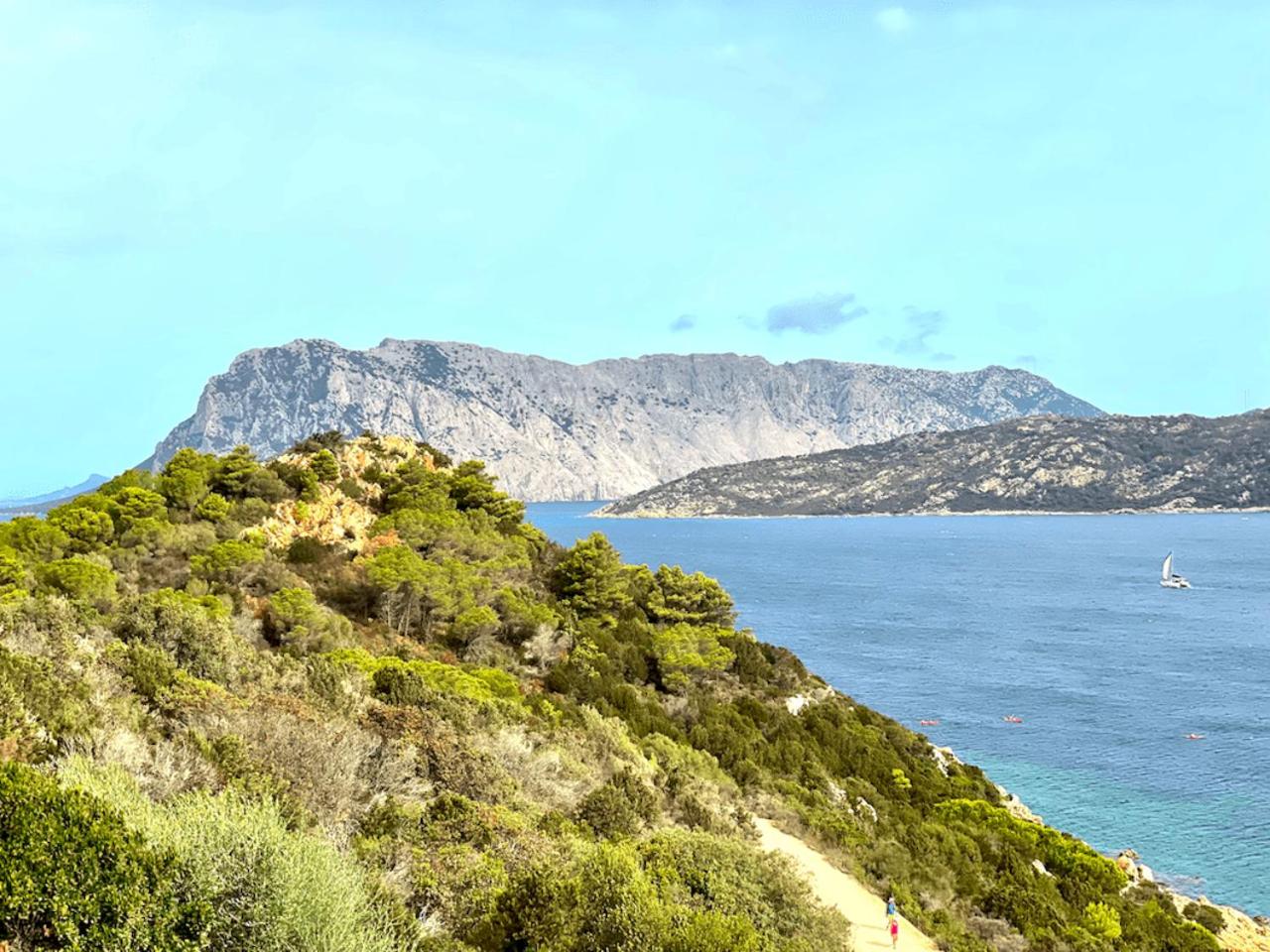 Punta Est - Trilo ALLORO Vista Mare & Relax view 5